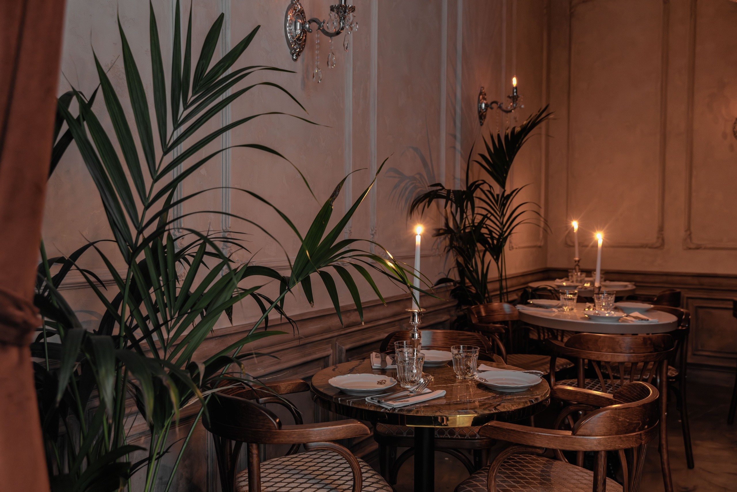 Медведь. Репортажный фотограф в Санкт-Петербурге Жолудев Владислав