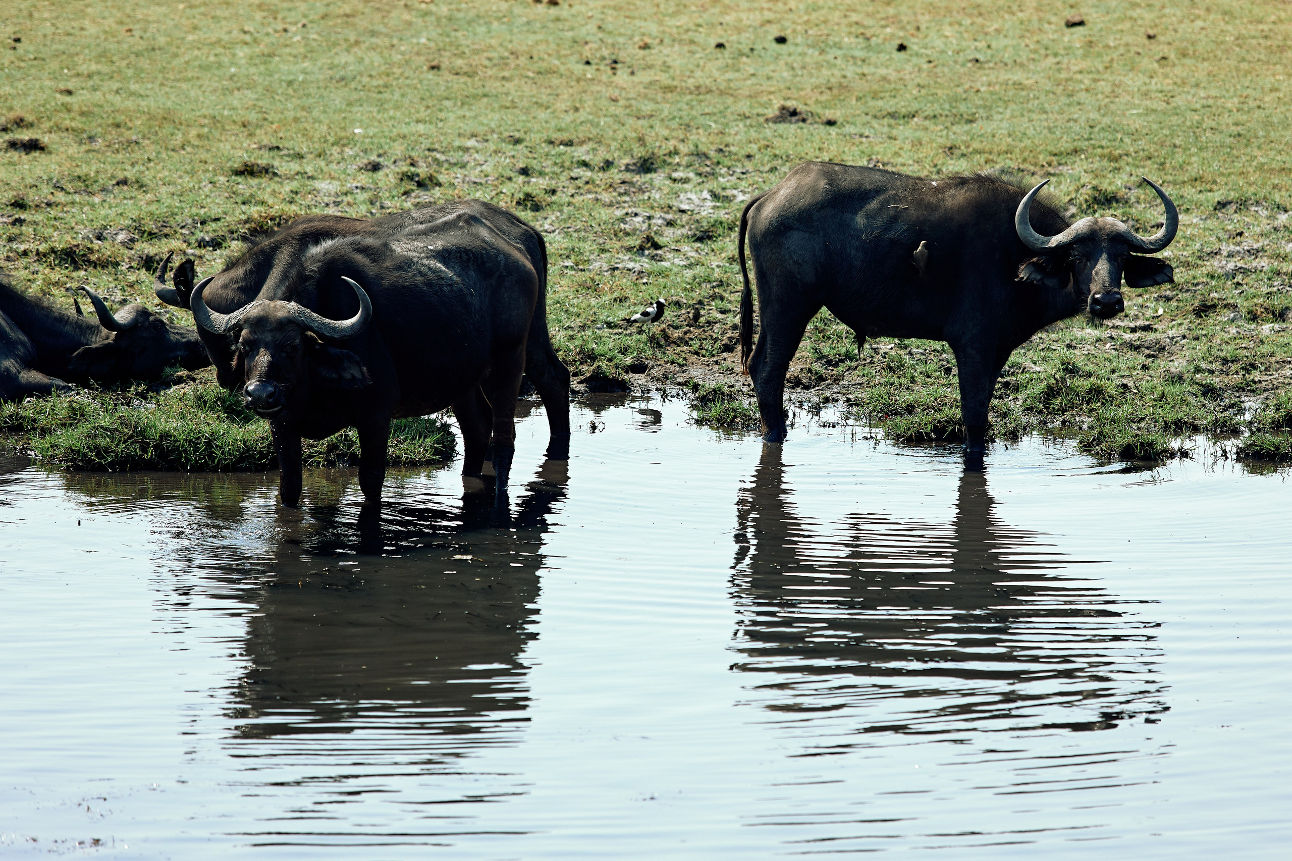 SOUTH AFRICA EMBA 38. Дмитрий Мазуркевич: Профессиональный Репортажный Фотограф