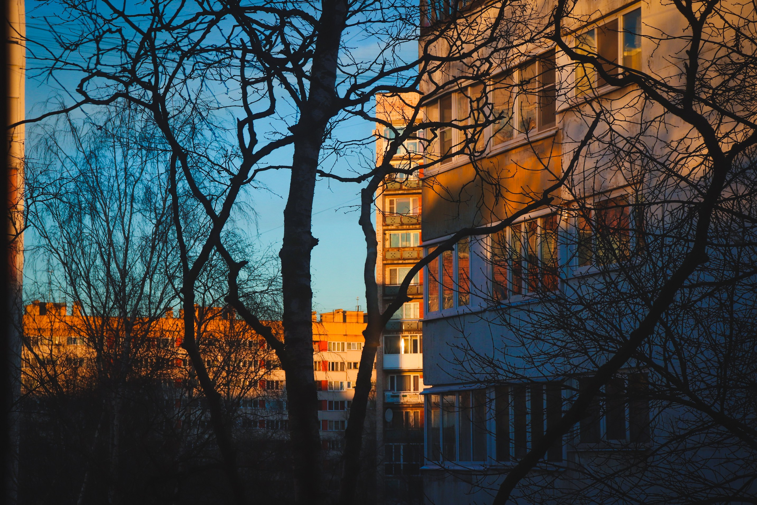 Из наблюдений. Плак или Квак