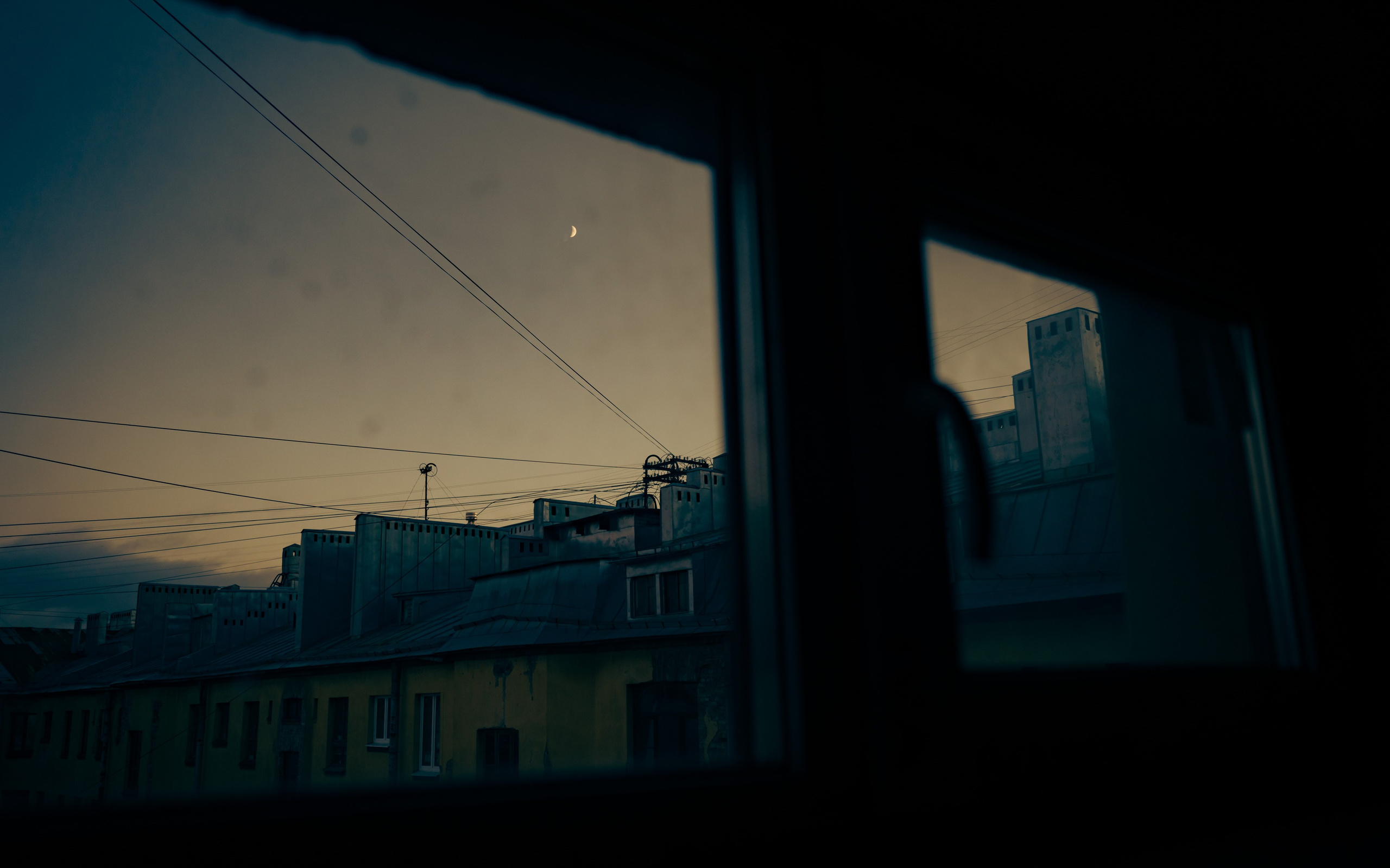 Из наблюдений. Плак или Квак