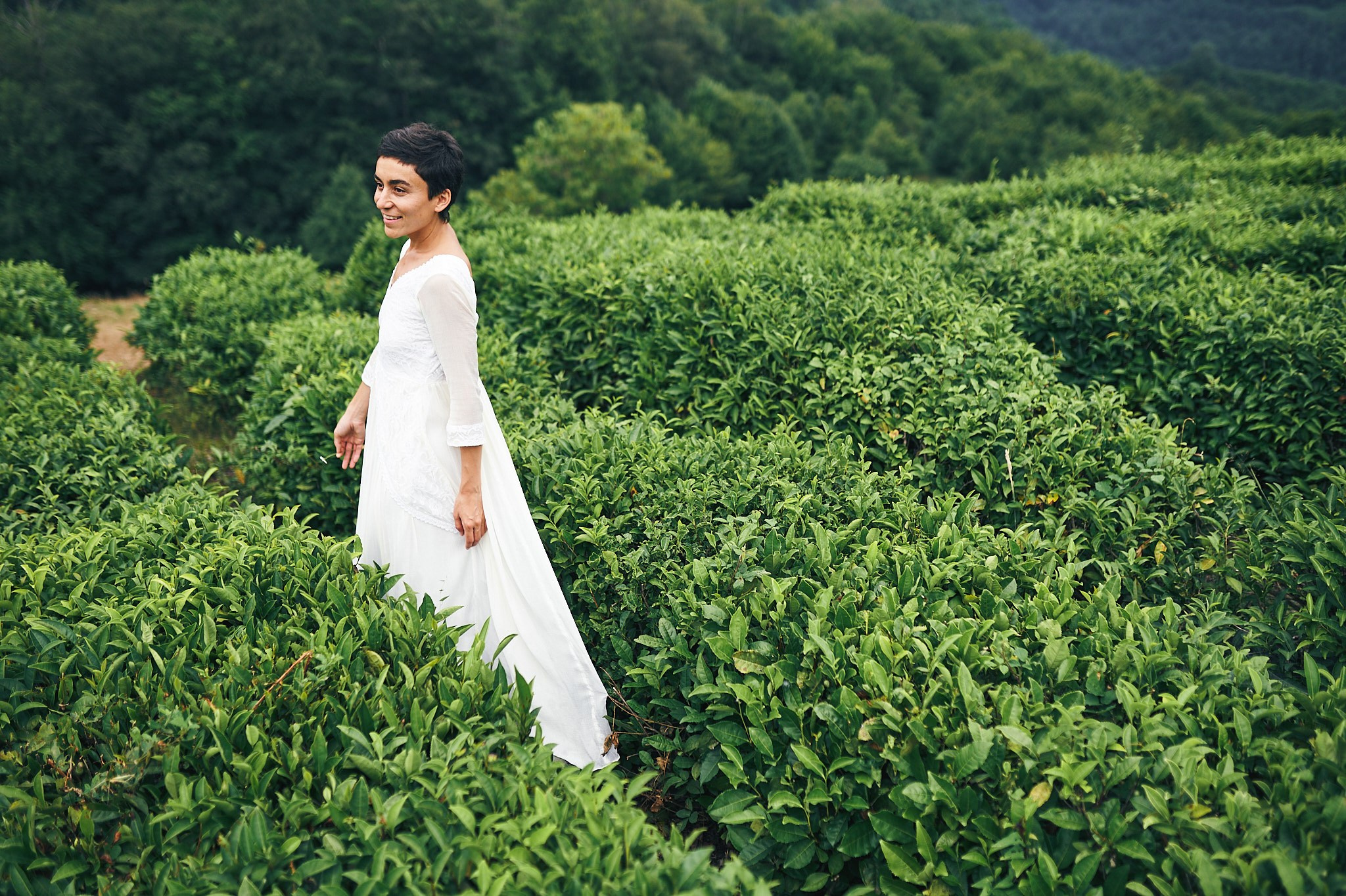 Чайные плантации. Фотограф в Сочи Катя Гончарова