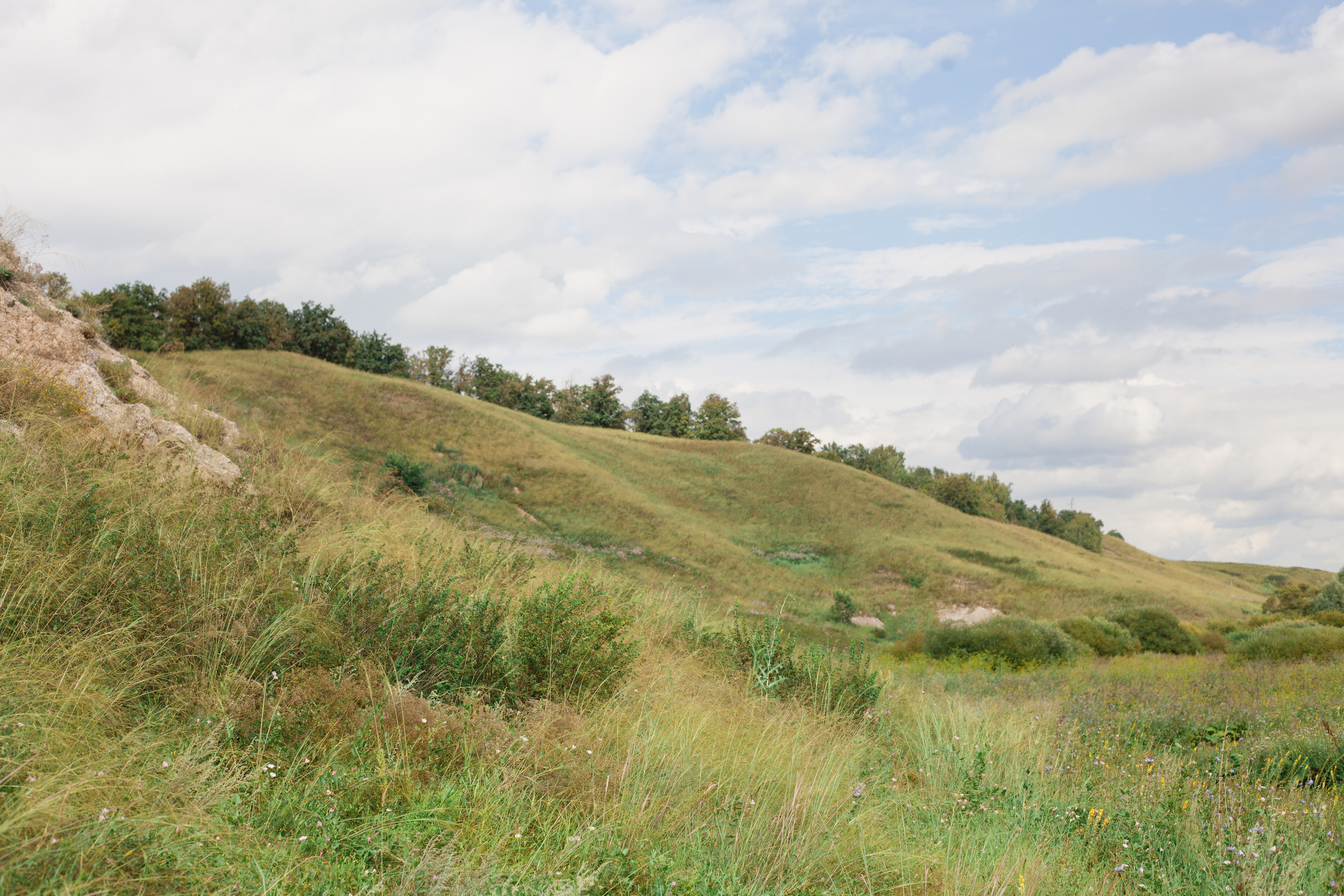 Пикник. Фотограф в Сербии Азалия Фомина