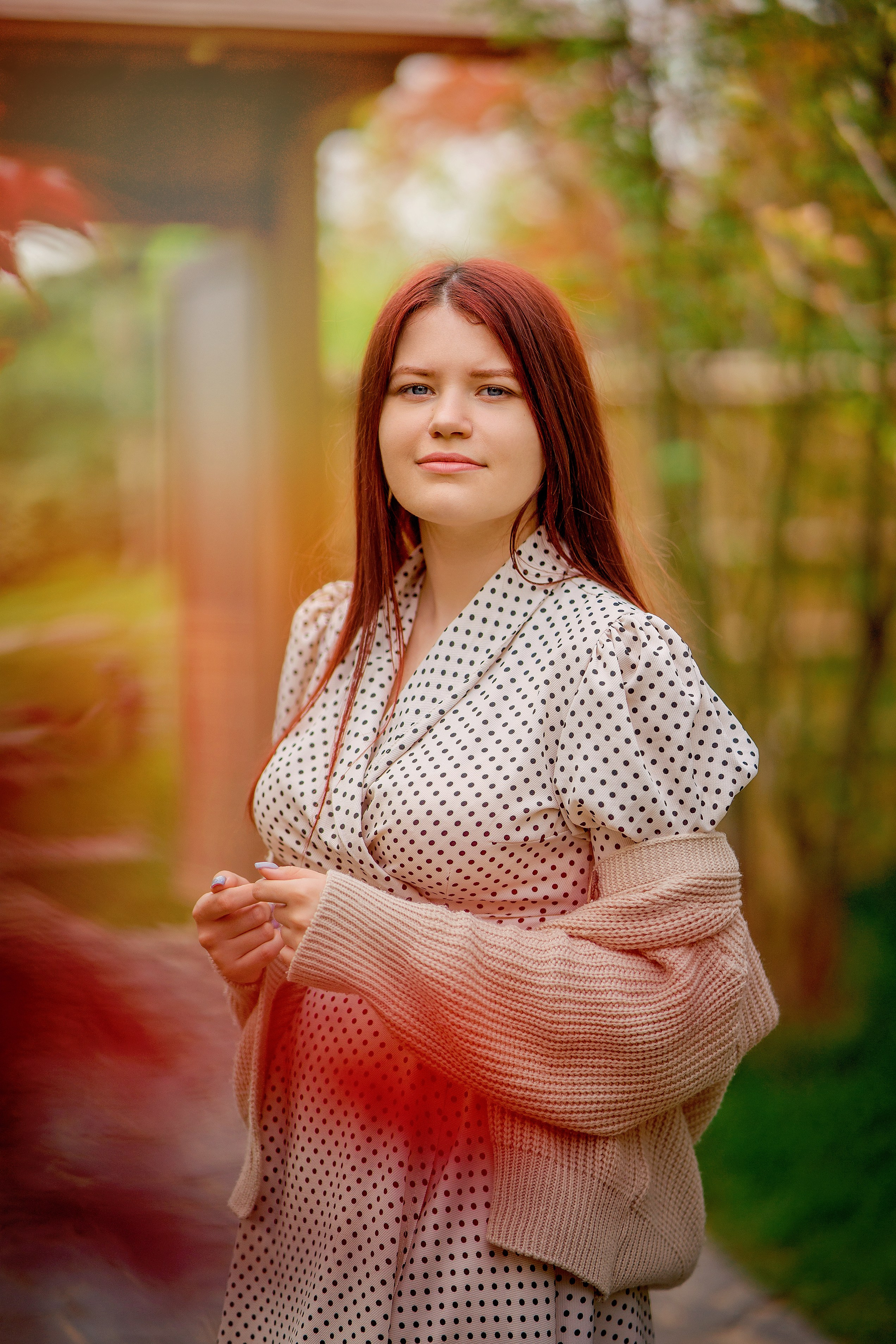 Японский сад. Photographer in Egypt, Hurghada, Luxor, Safaga