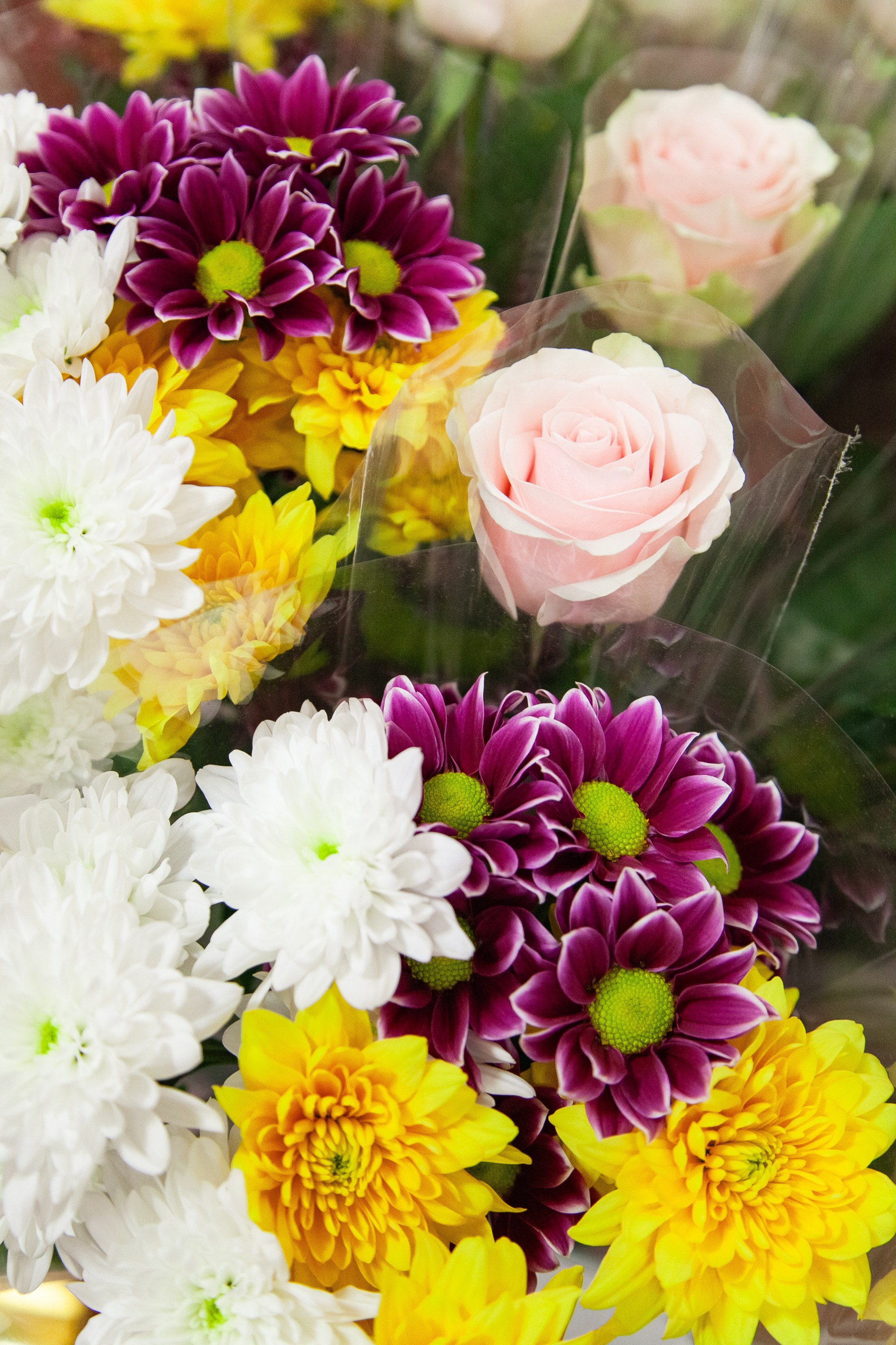 Выпускной 9 класса. Фотограф Перминов Никита СПБ