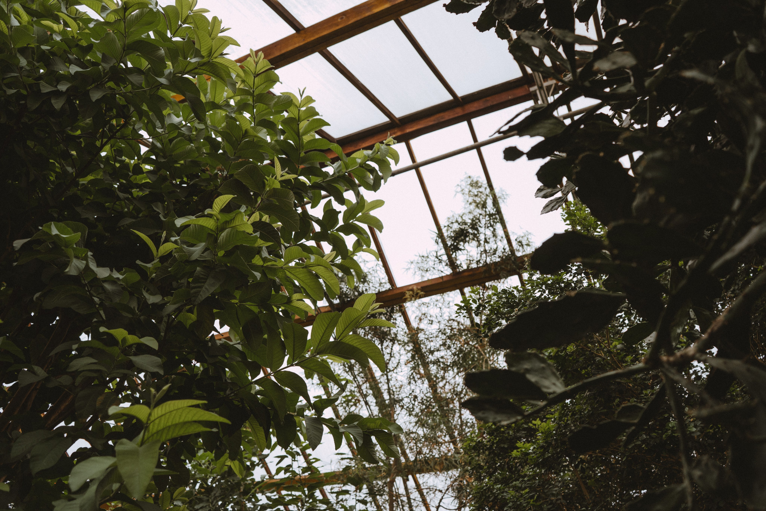 Dasha. Стильный фотограф Екатеринбурга Veber Anastasia