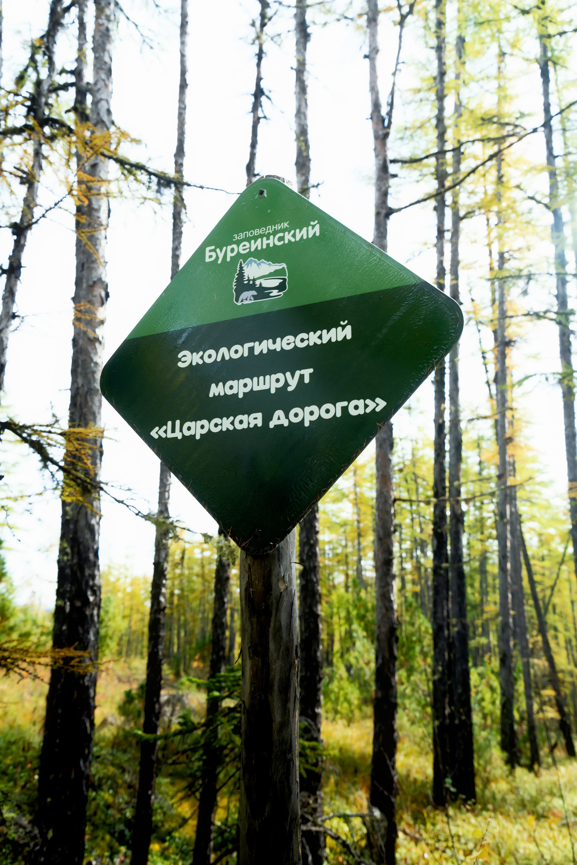 Буреинский заповедник. Фотограф в Хабаровске. Фотография за 24 часа