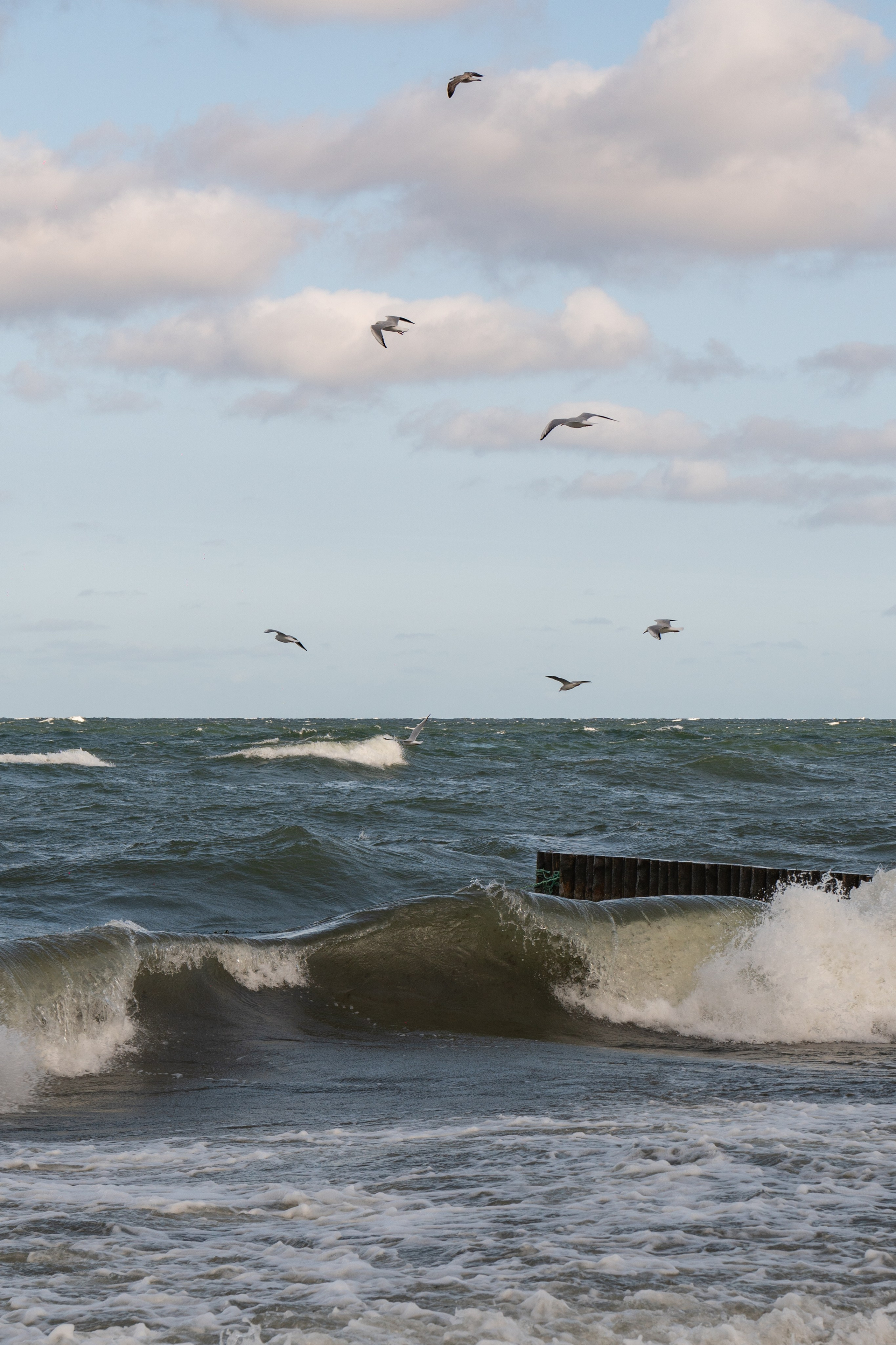 Калининградская область. Gusarov Travel Photography