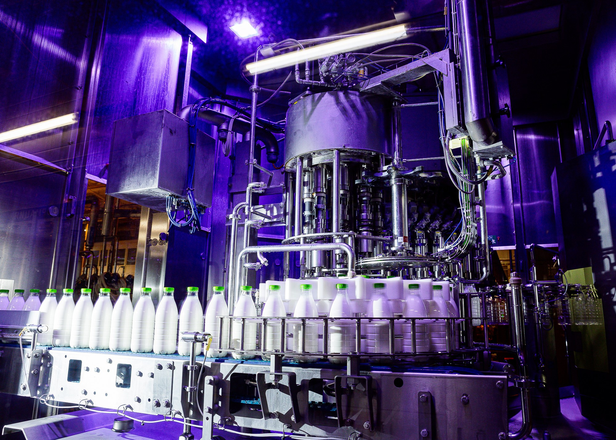 ЭкоНива — производитель молока № 1 в России