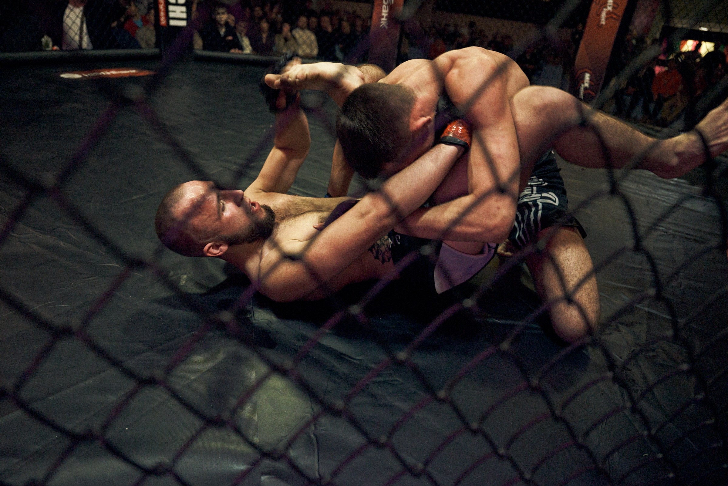 Бои. Маляревич Дмитрий свадебный фотограф