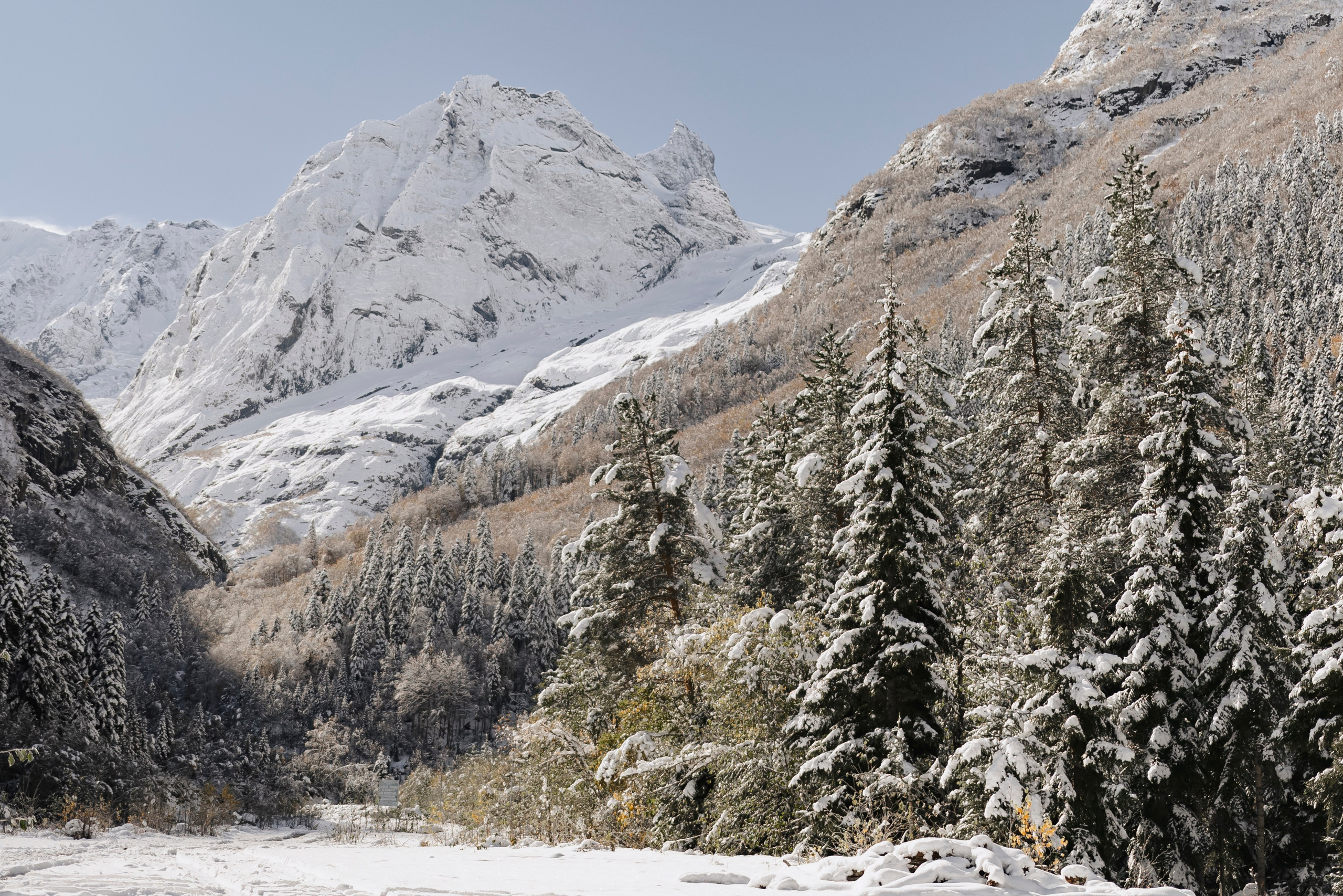 MAXIM & YAROSLAVA | DOMBAY. Фотограф Настя Конник | Пятигорск | Эльбрус | Домбай | Архыз
