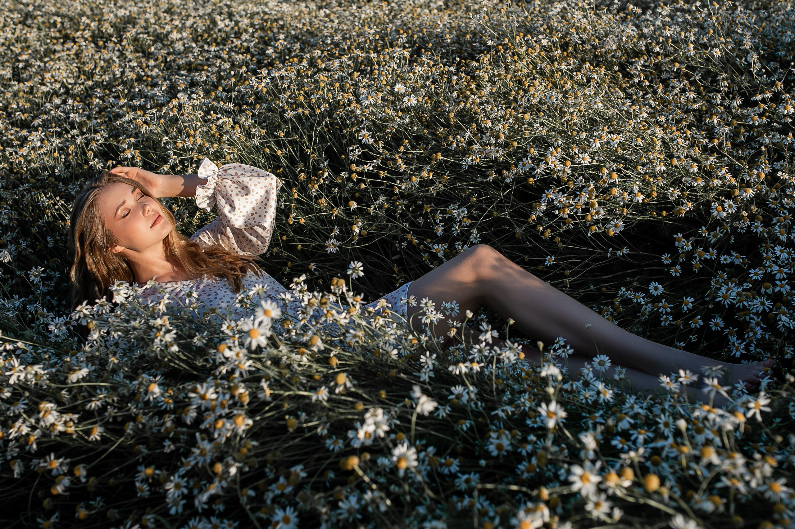 Алена. Фотодень в ромашках. Свадебный и семейный фотограф в Колпино и СПб Юлия Папанова