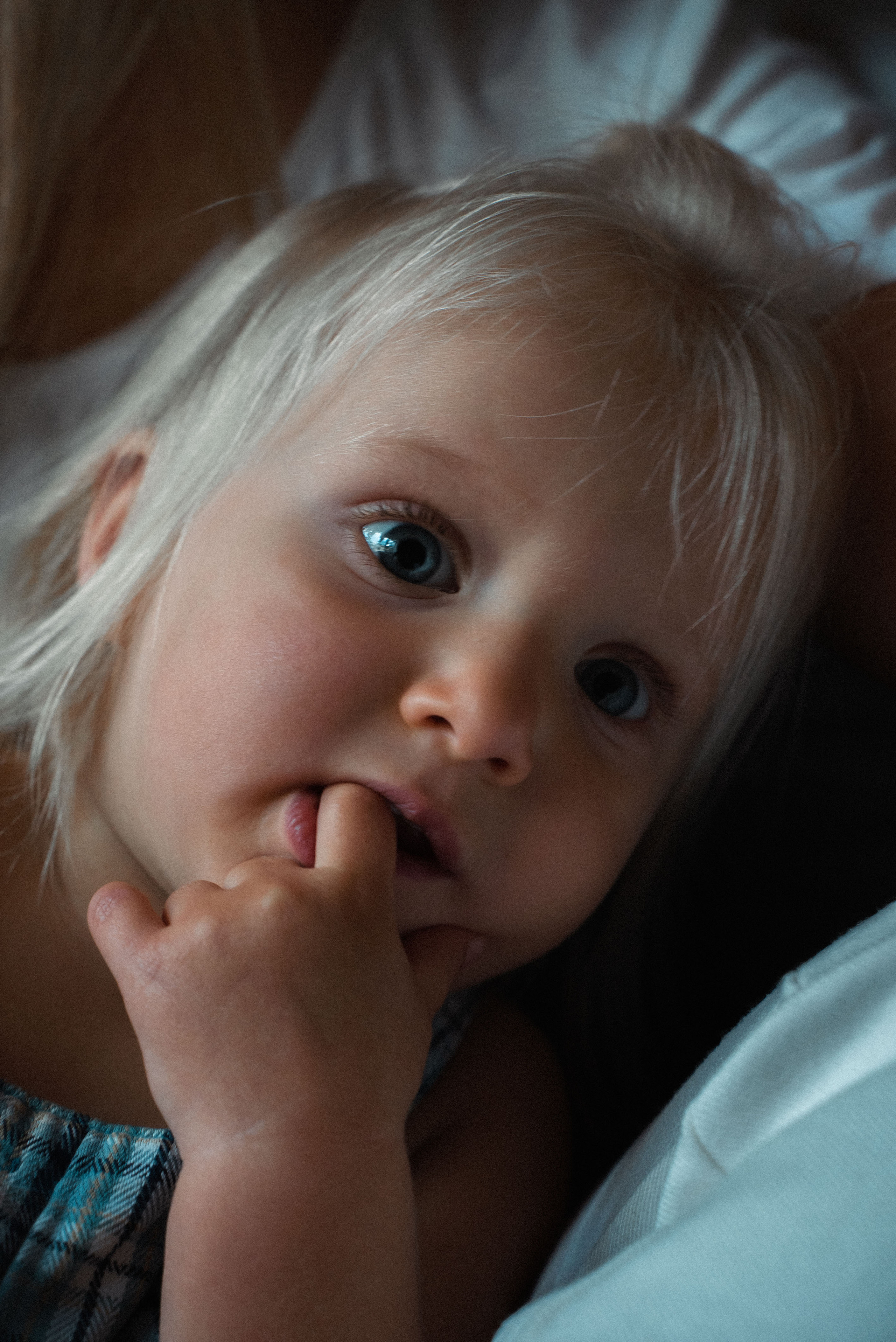 Домашние фотосессии. Видеограф Осинина Татьяна — видеосъемка в Москве