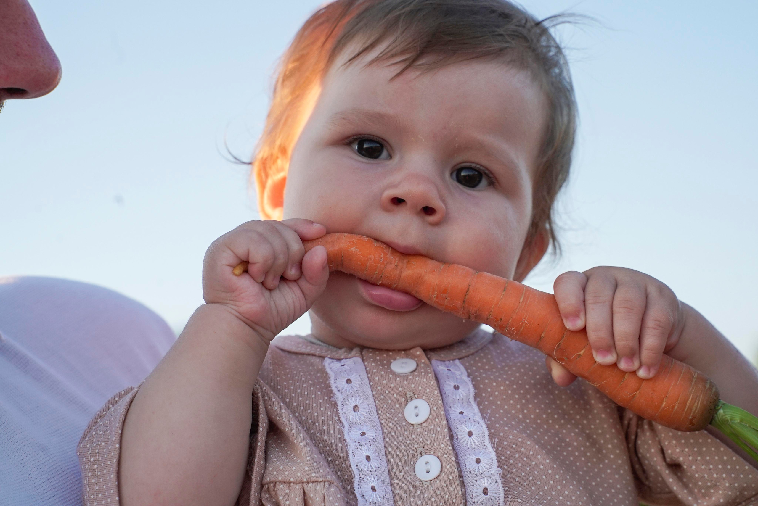 Снимаю вашу семью дома, в парке или в полях. Видеограф Осинина Татьяна — видеосъемка в Москве