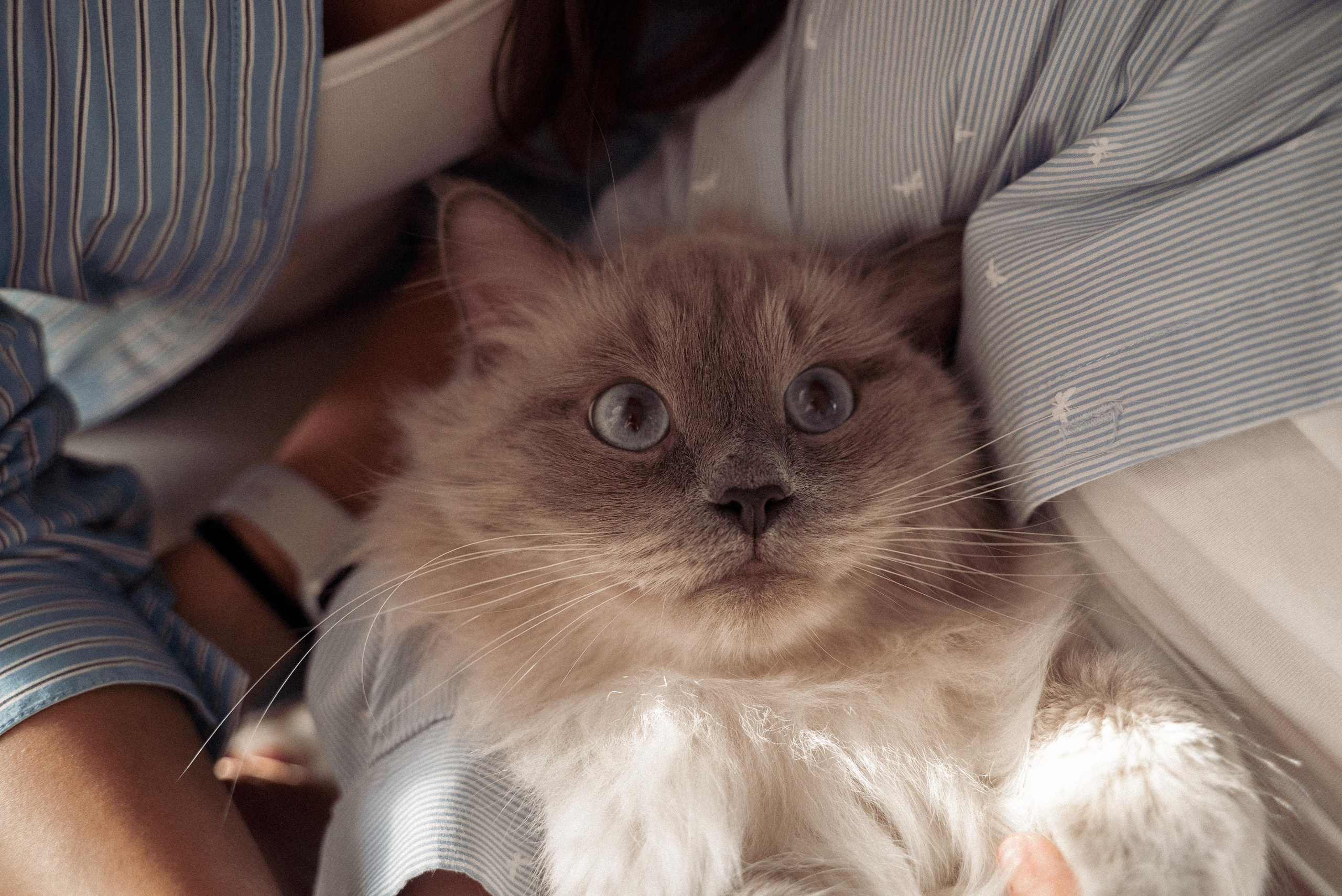 Фотосессии дома, на улице, в студии. Видеограф Осинина Татьяна — видеосъемка в Москве