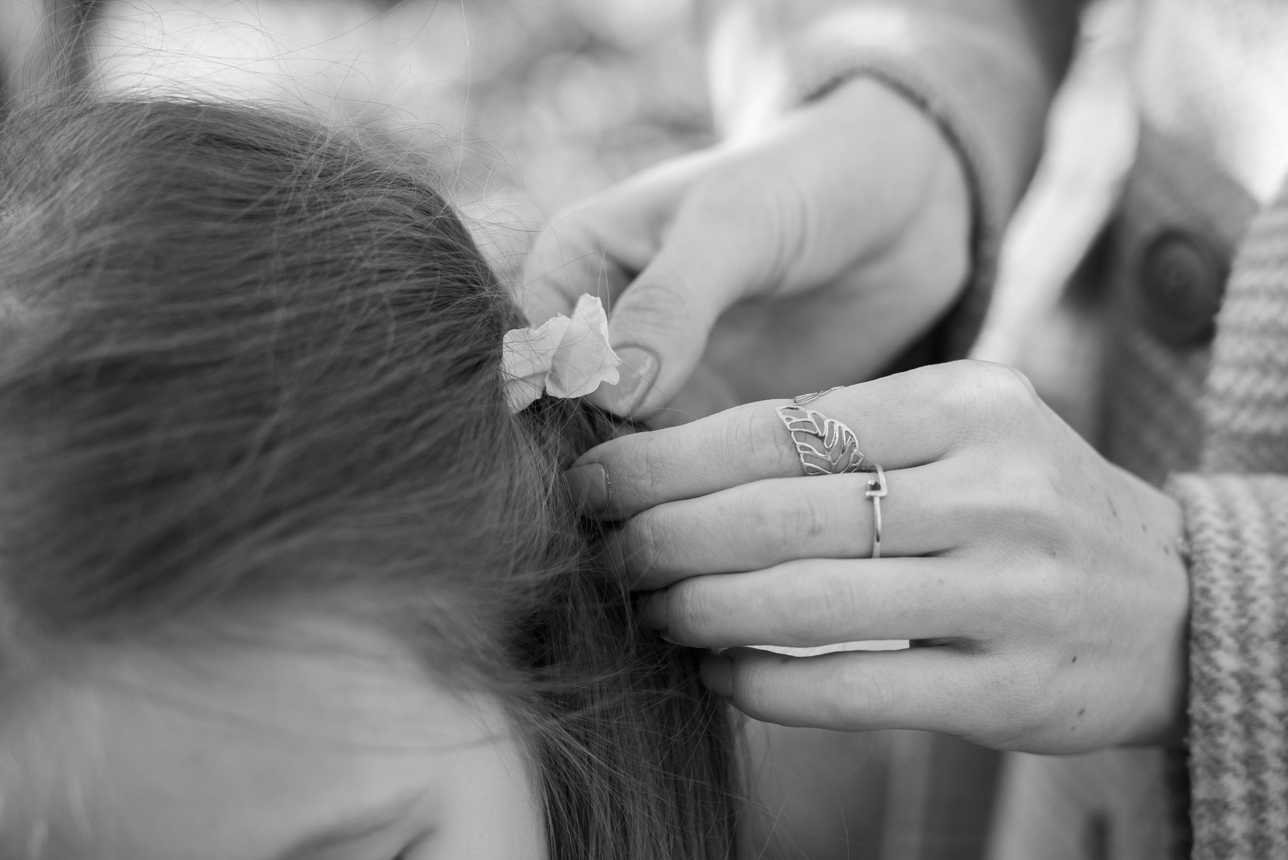 Семейные фотосессии в стиле Лайфстайл. Видеограф Осинина Татьяна — видеосъемка в Москве