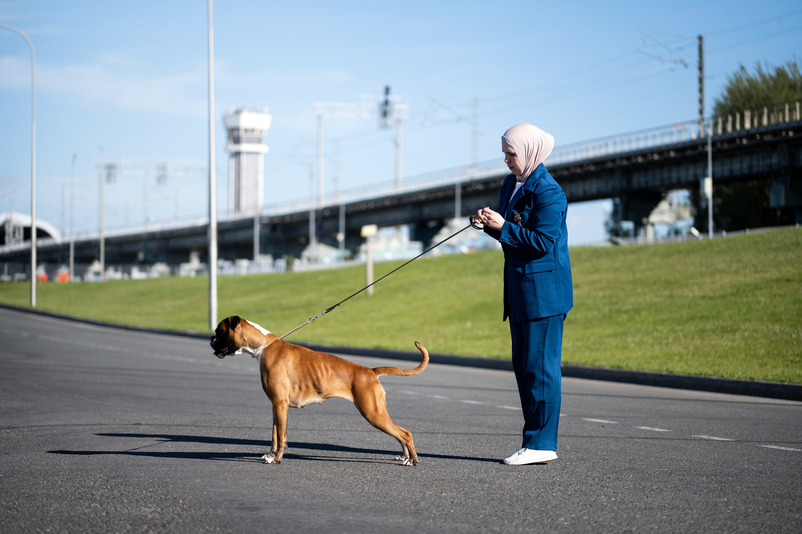 Собаки. FASHION ФОТОГРАФ КАЗАНЬ