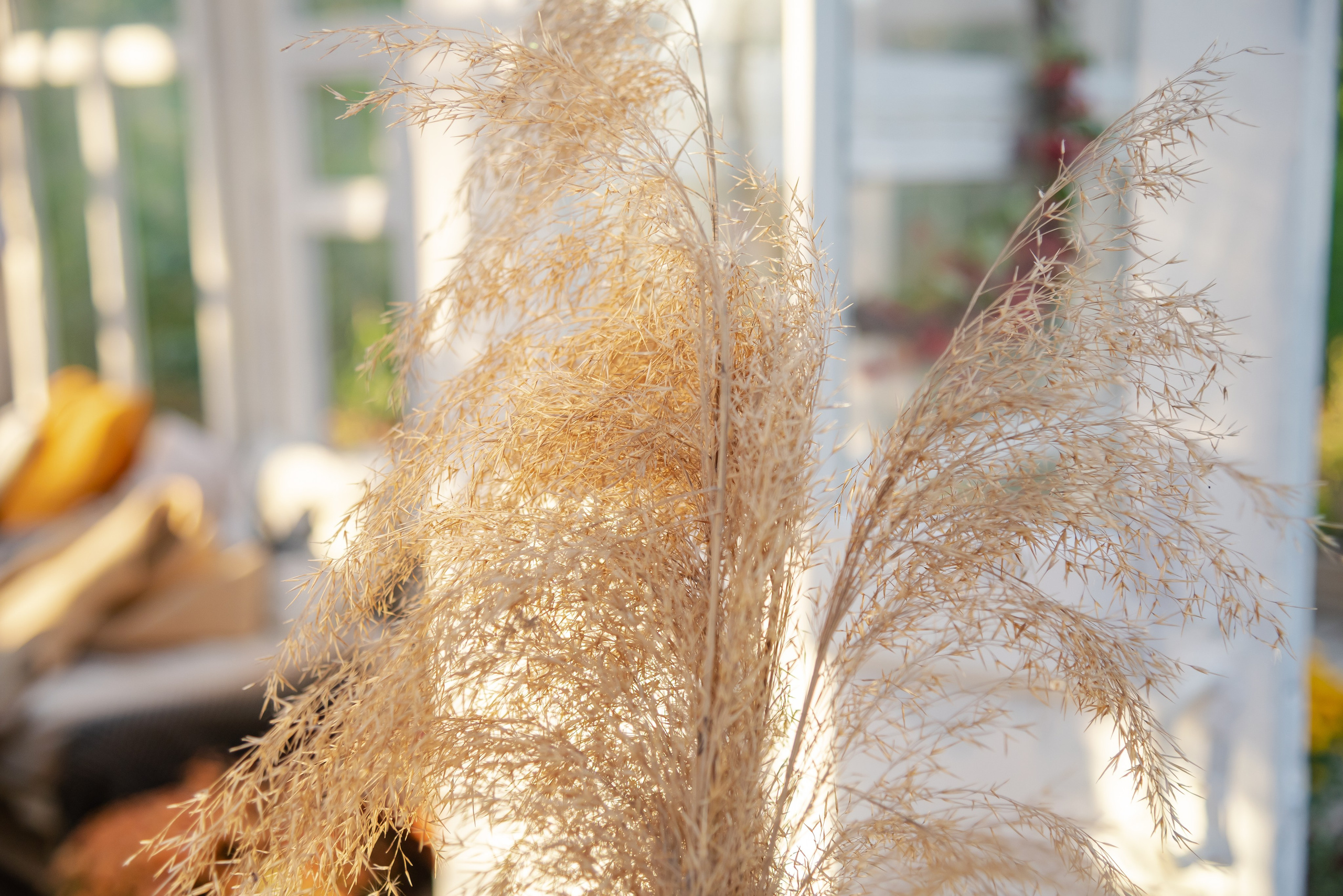 Аня. Фотограф Галина Нестерова