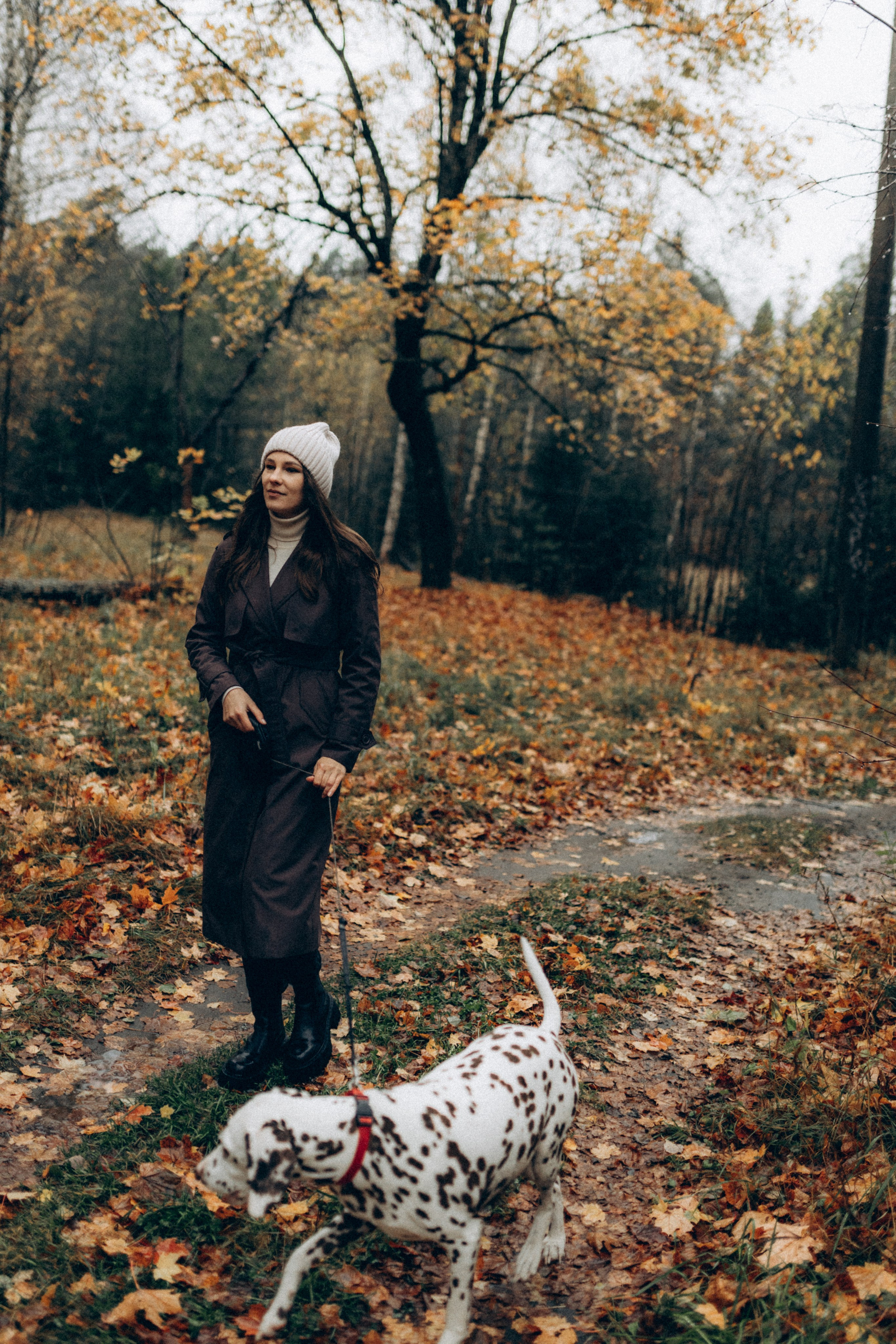 Анфиса & Нисма. Фотограф НОГИНСК, Москва, Анастасия Белая