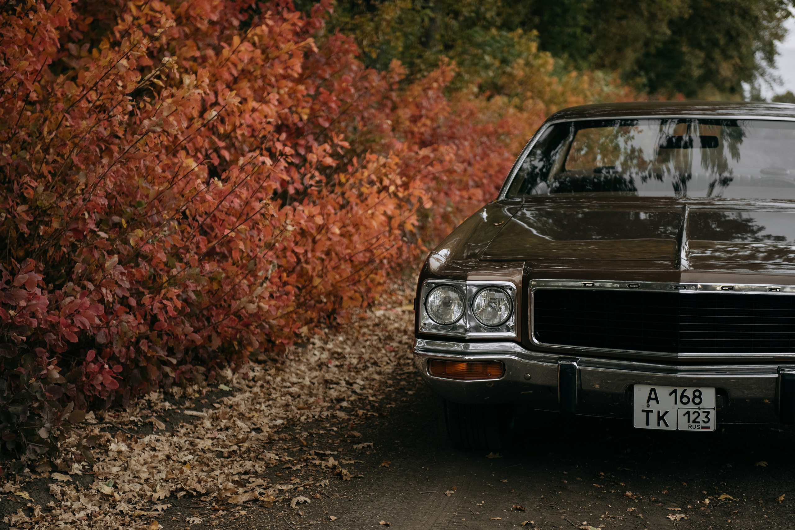 В каждом мгновении осень. Свадебный и семейный фотограф Темрюк Алёна Ковальская