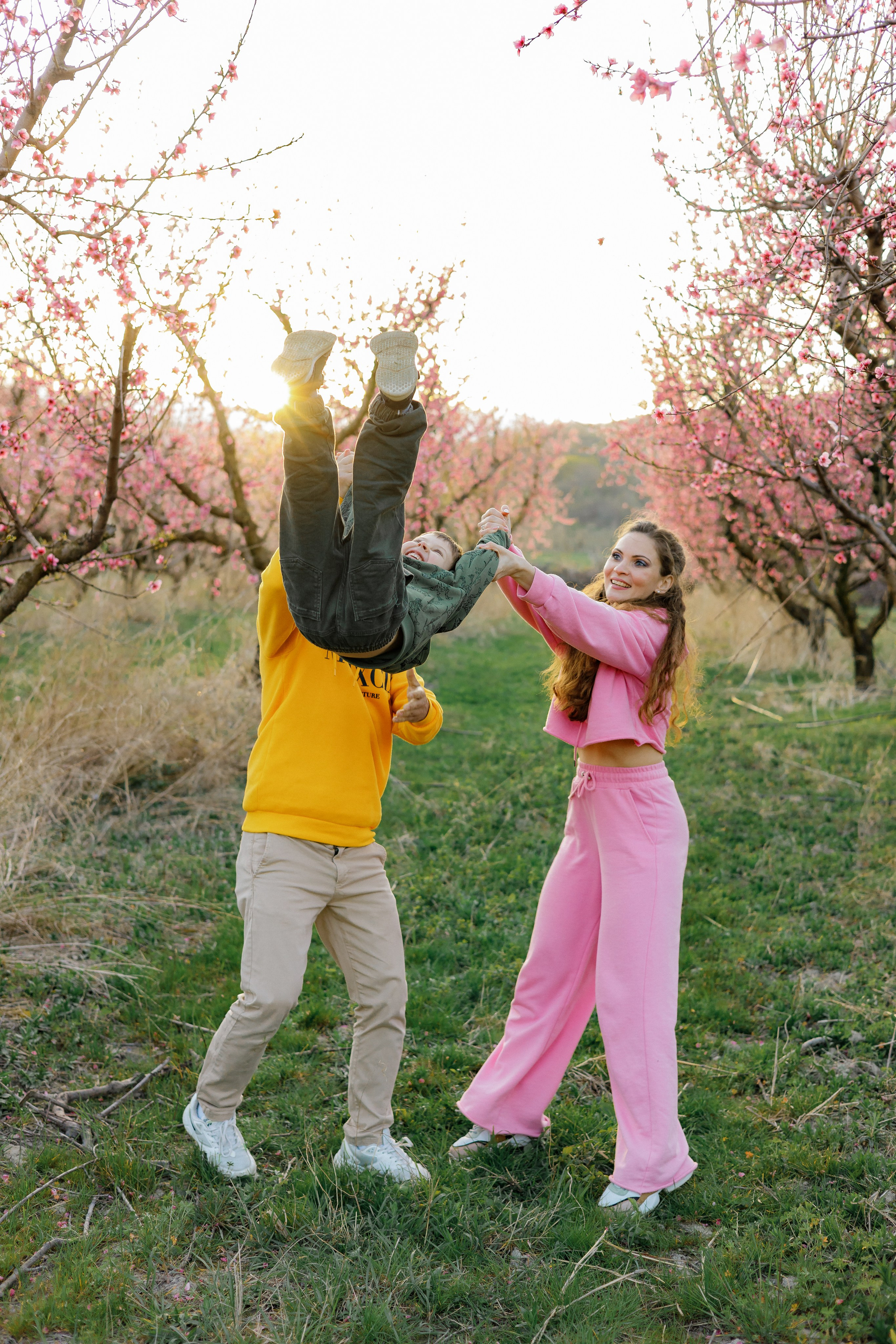 Закат в персиковом саду