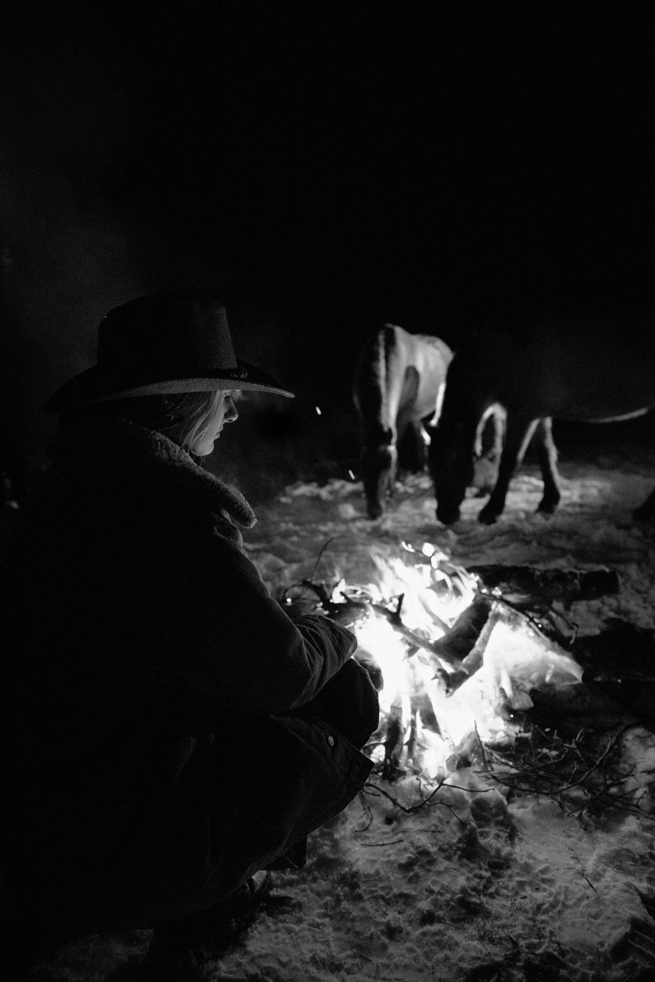 Фотосессии с лошадьми