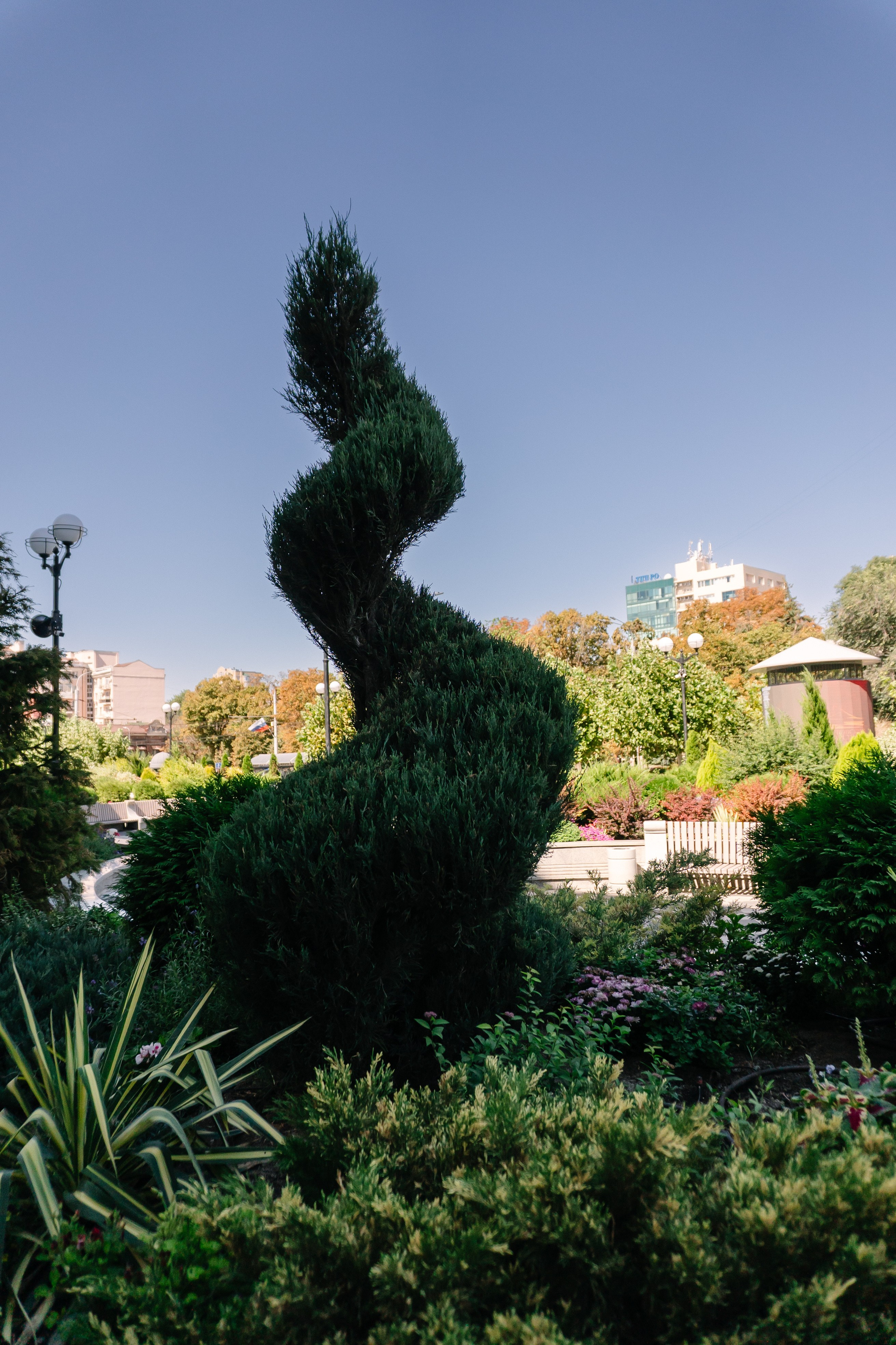 Локации для школьных съемок. Семейный фотограф и видеограф Ростов-на-Дону