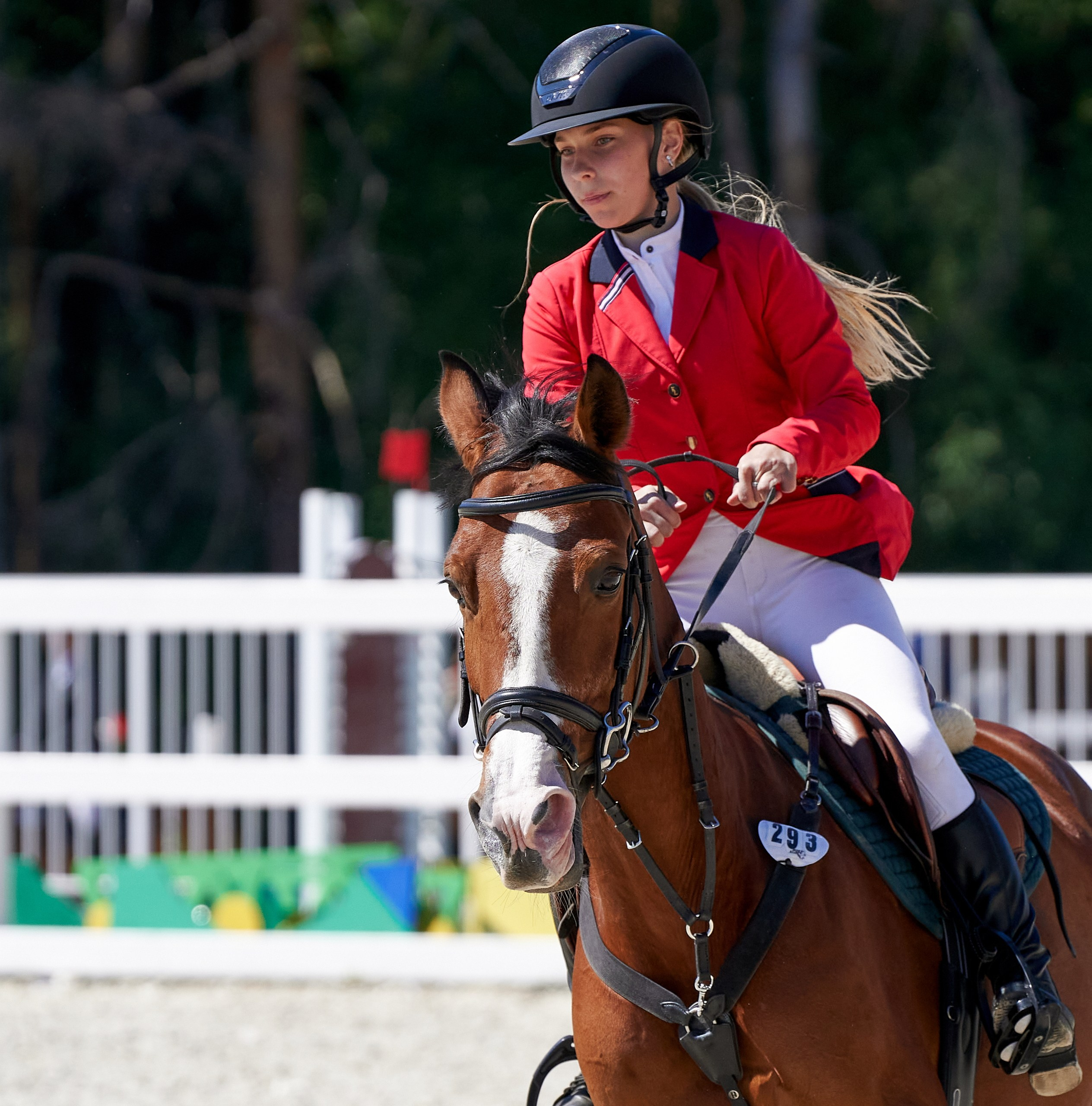 Соревнования на лошадях — галерея NATRIEL