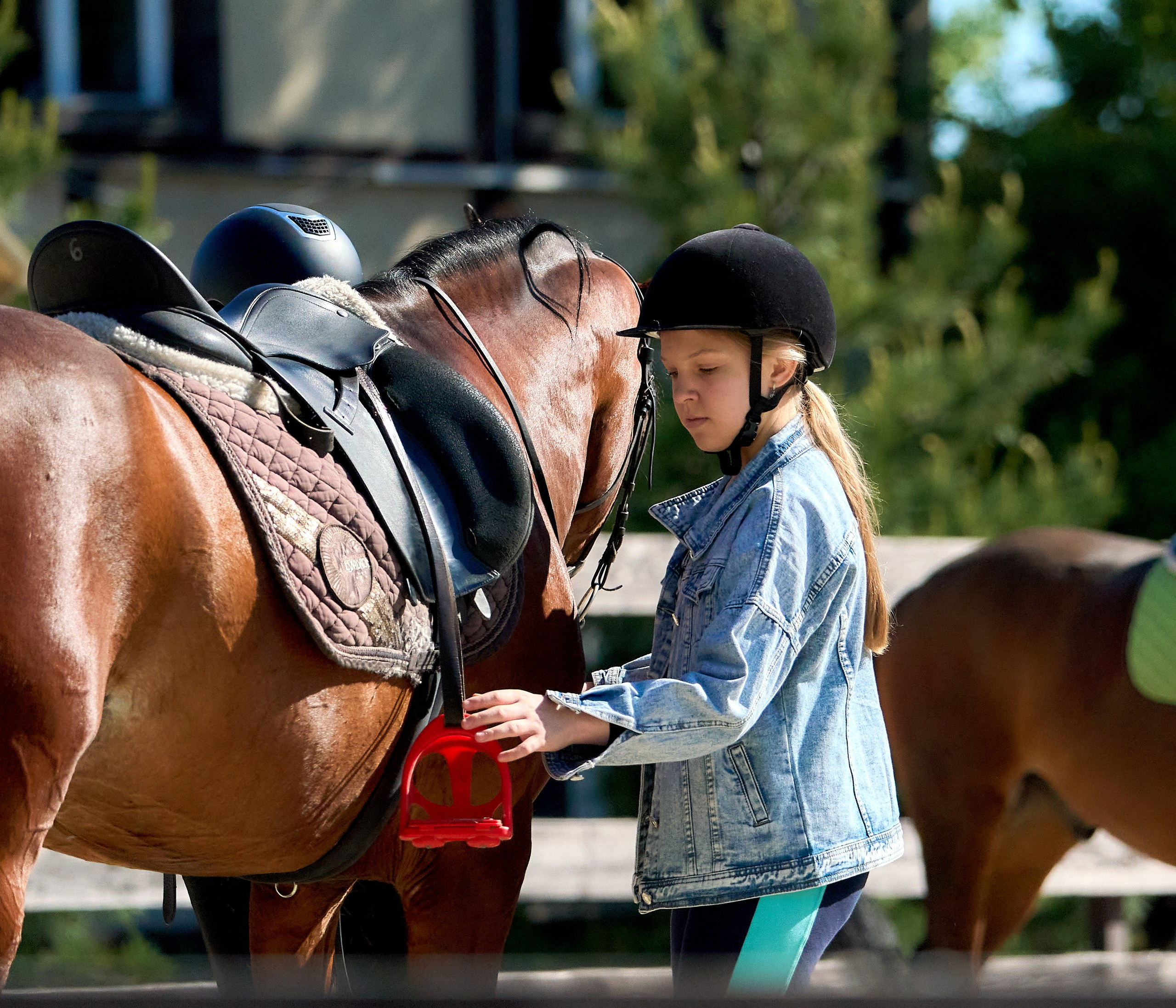 Соревнования на лошадях — галерея NATRIEL