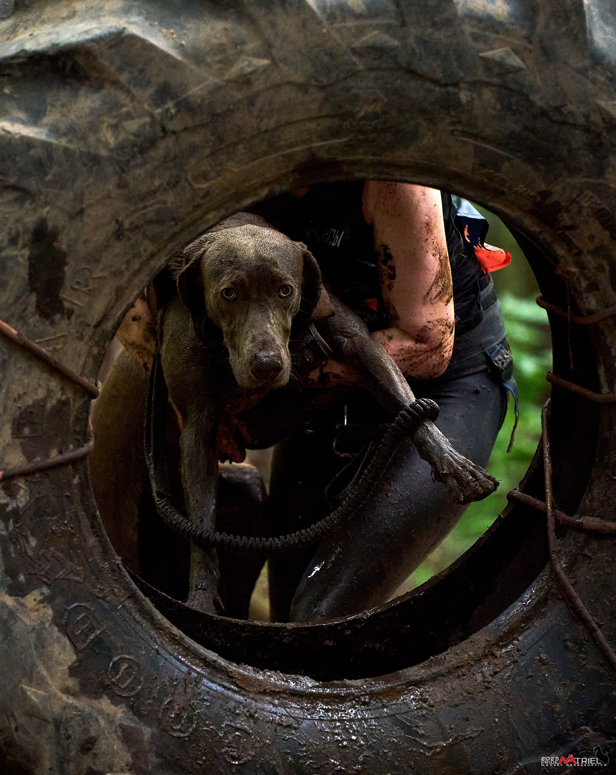 Russian Extreme Dog Trail — 2025