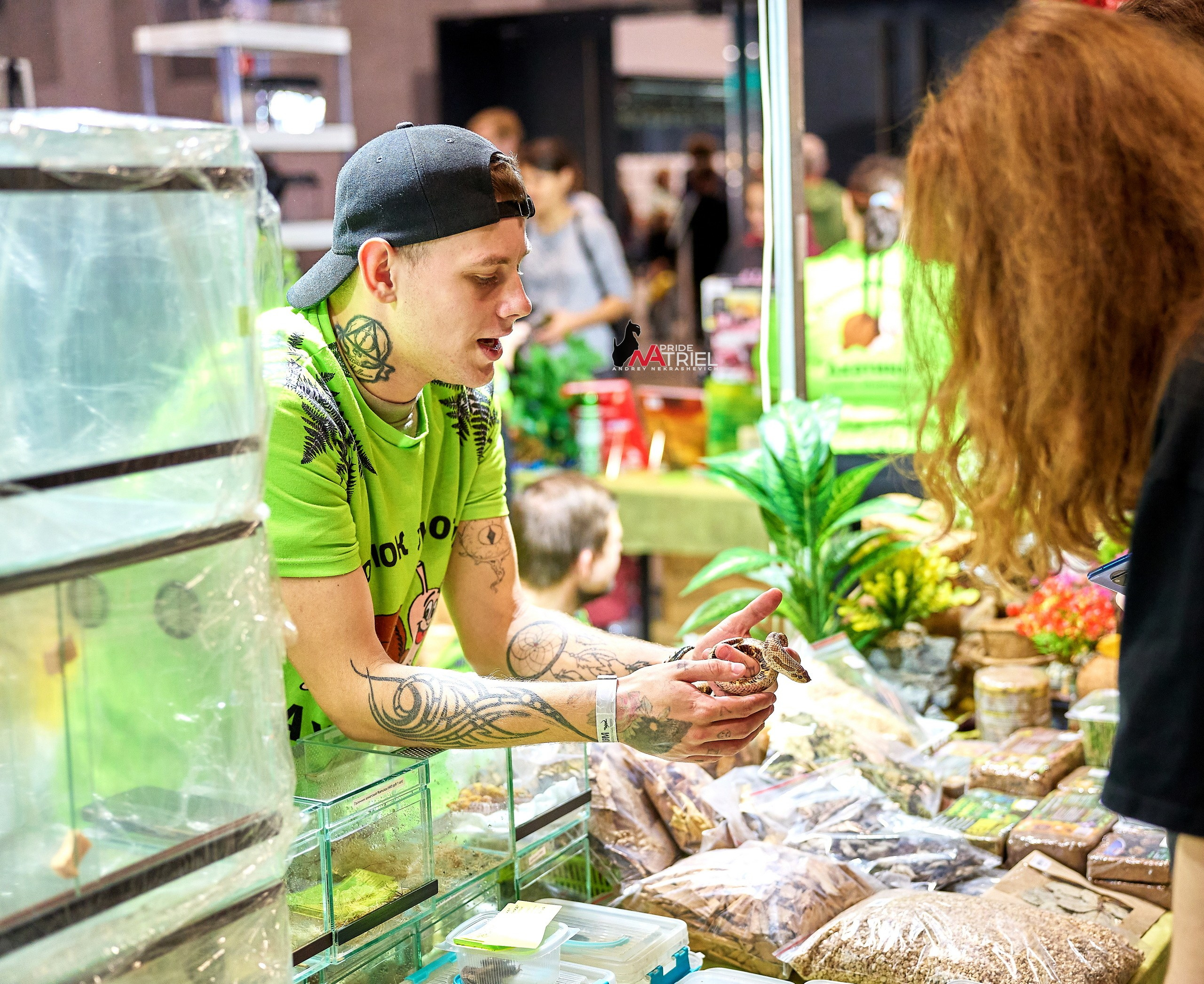 Выставки животных — галерея NATRIEL