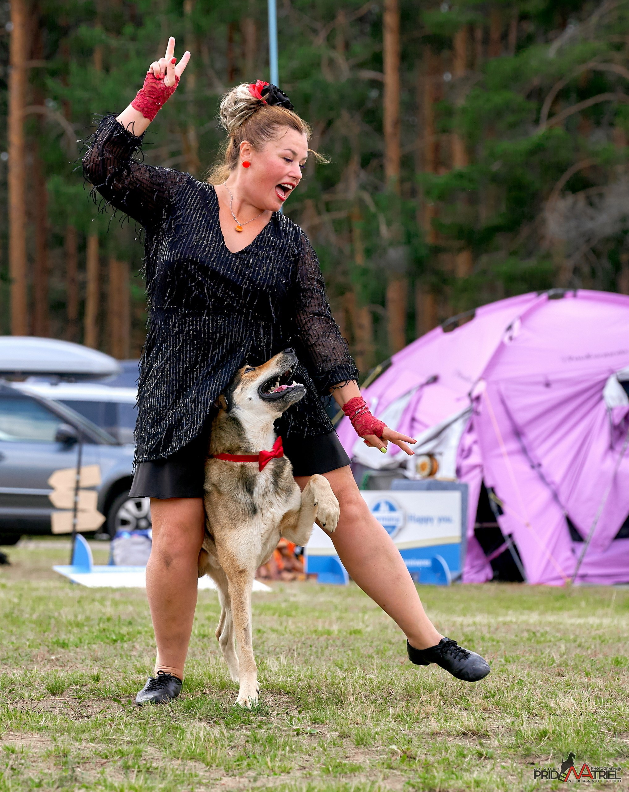 Обидиенс и танцы с собаками — галерея NATRIEL