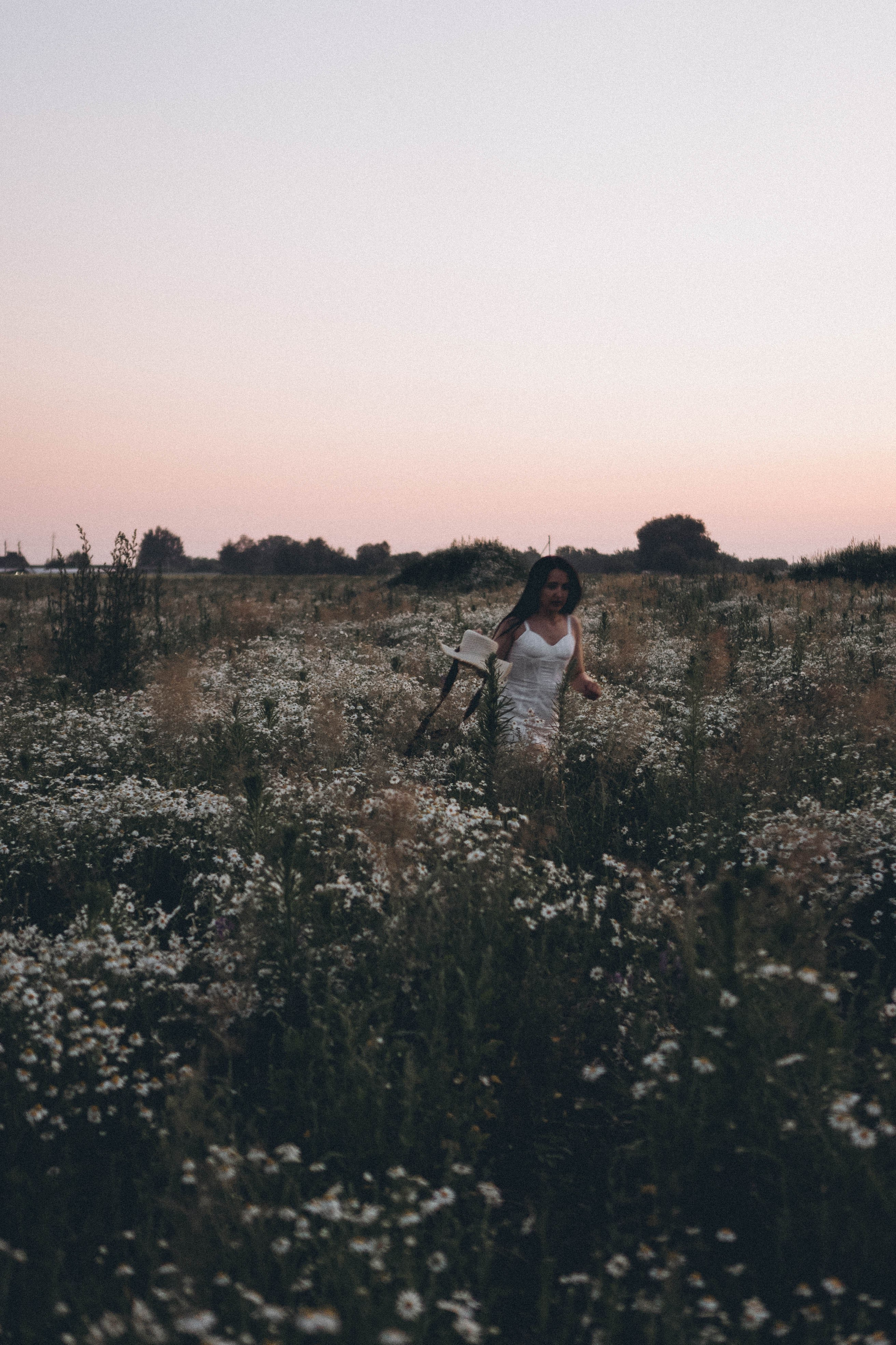 Ромашковое поле. Профессиональный фотограф, Санкт-Петербург — Виктория Богомолова