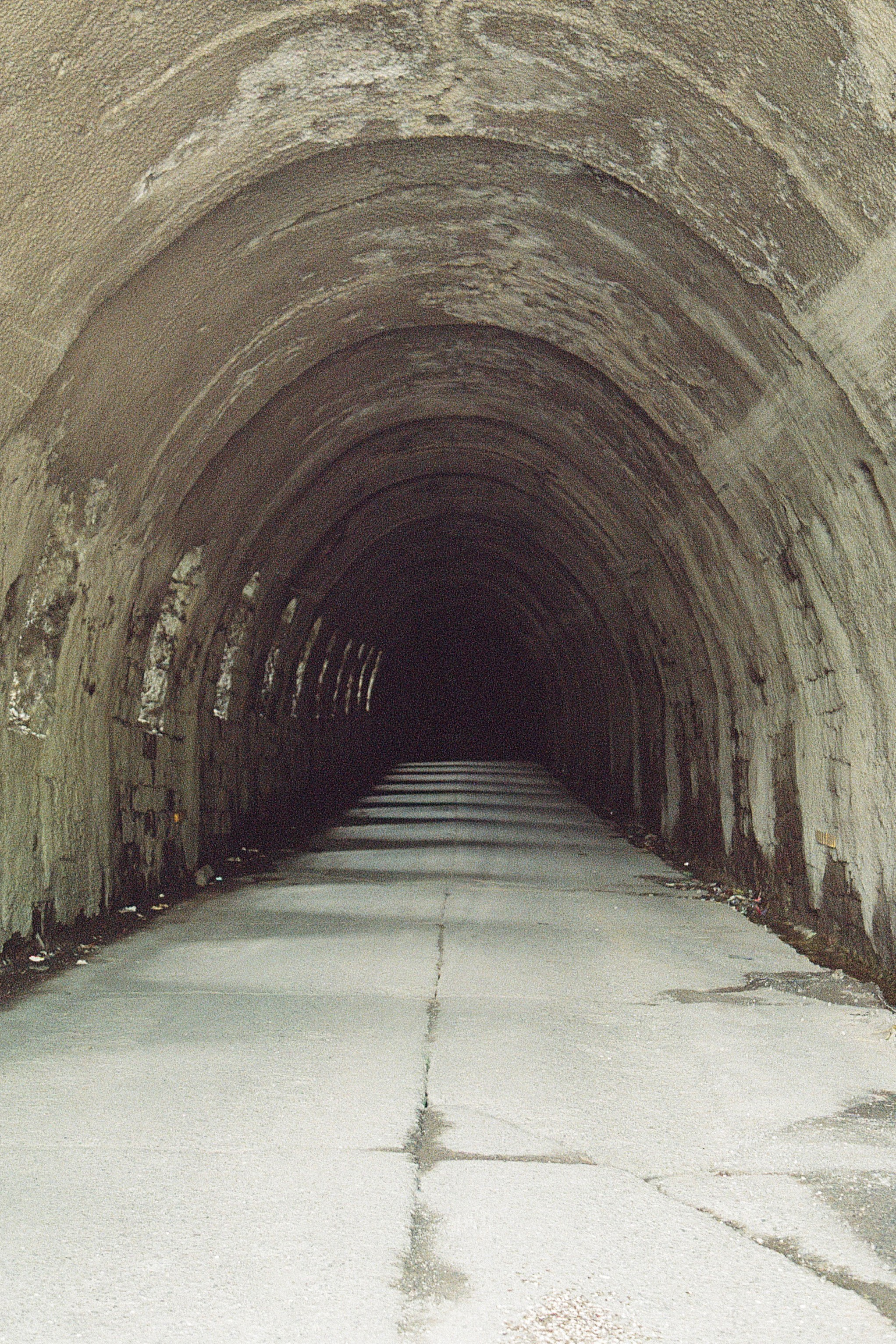 ГРУЗИЯ. ПРИРОДА.25. Профессиональный фотограф Федотова Арина