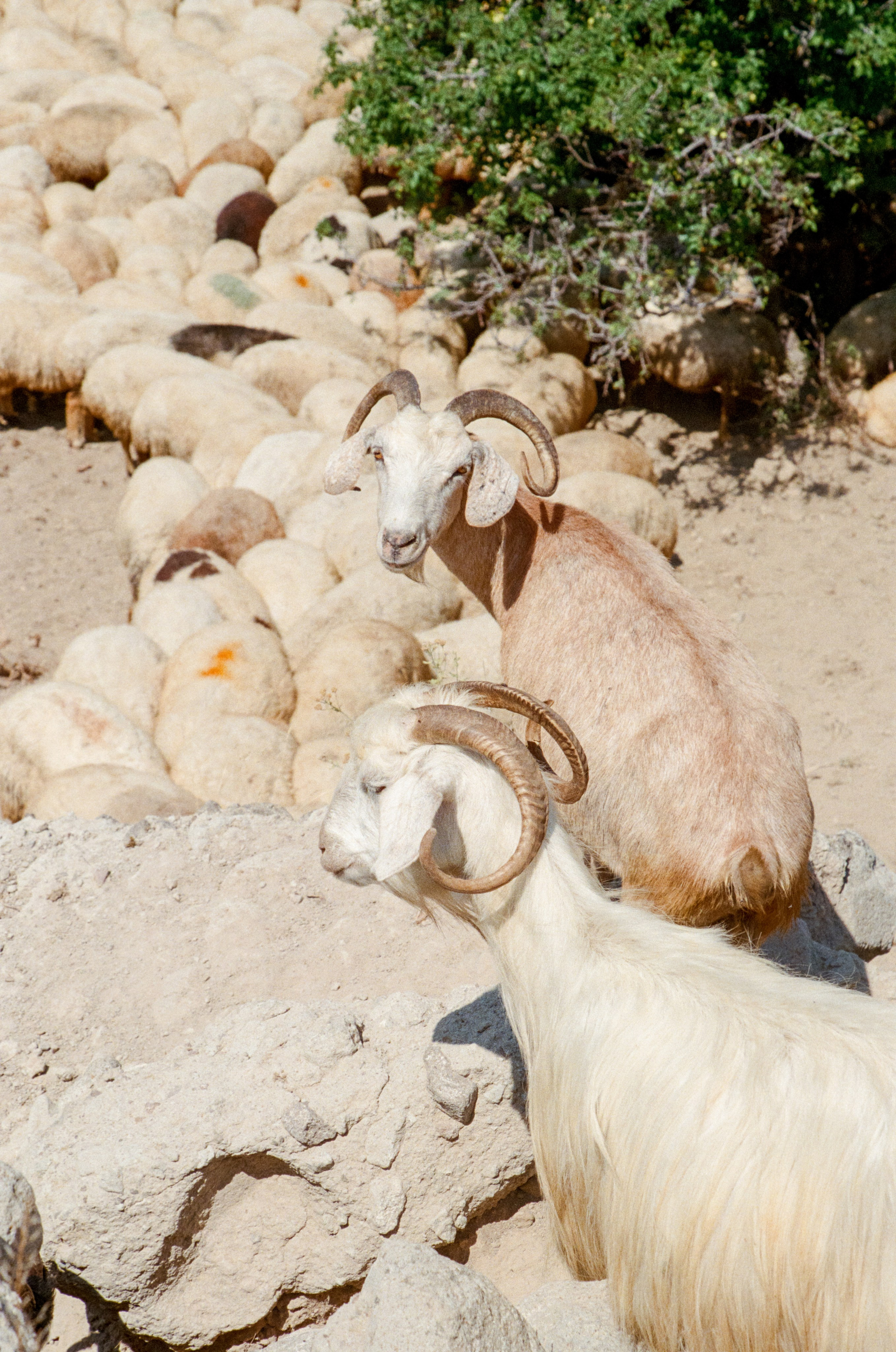 АРМЕНИЯ.24. Профессиональный фотограф Федотова Арина