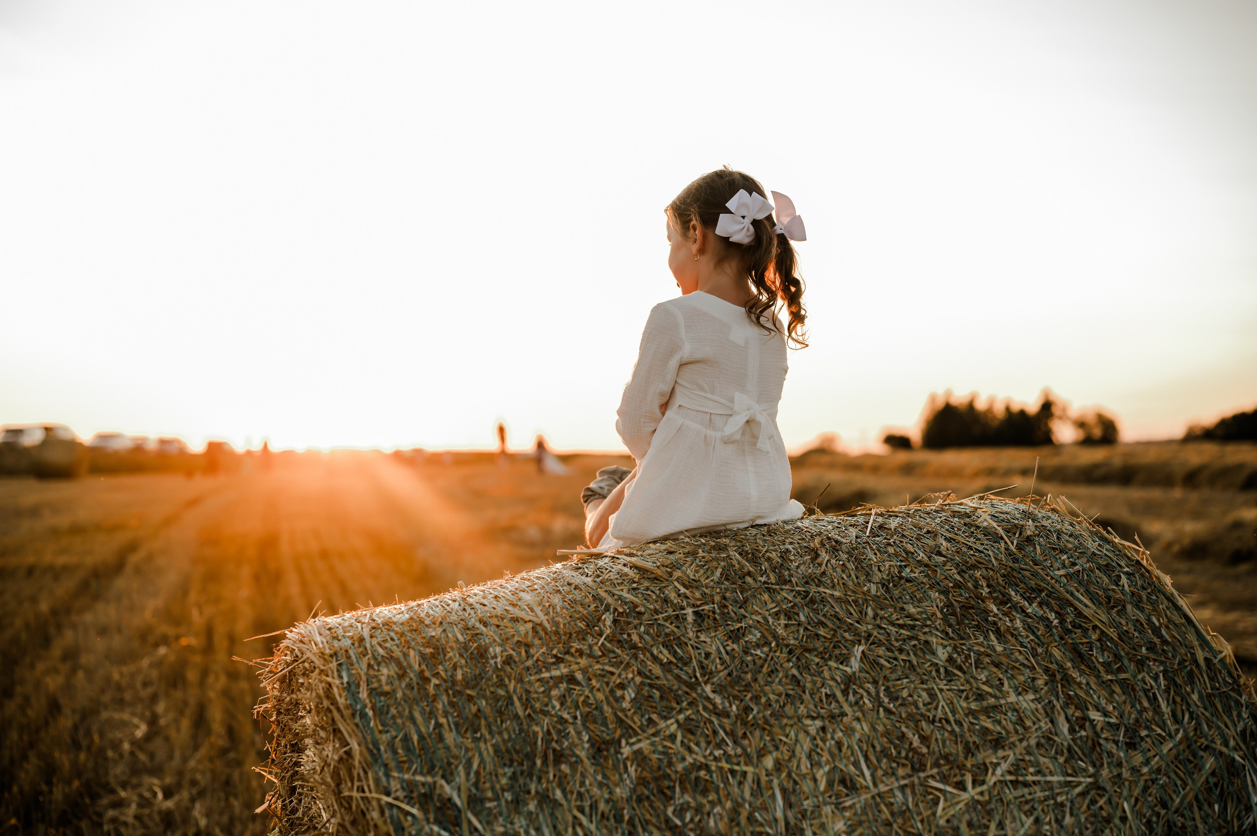 Кукуруза+сено, семейная фотосессия. Свадебный и семейный фотограф Евгения Кононова