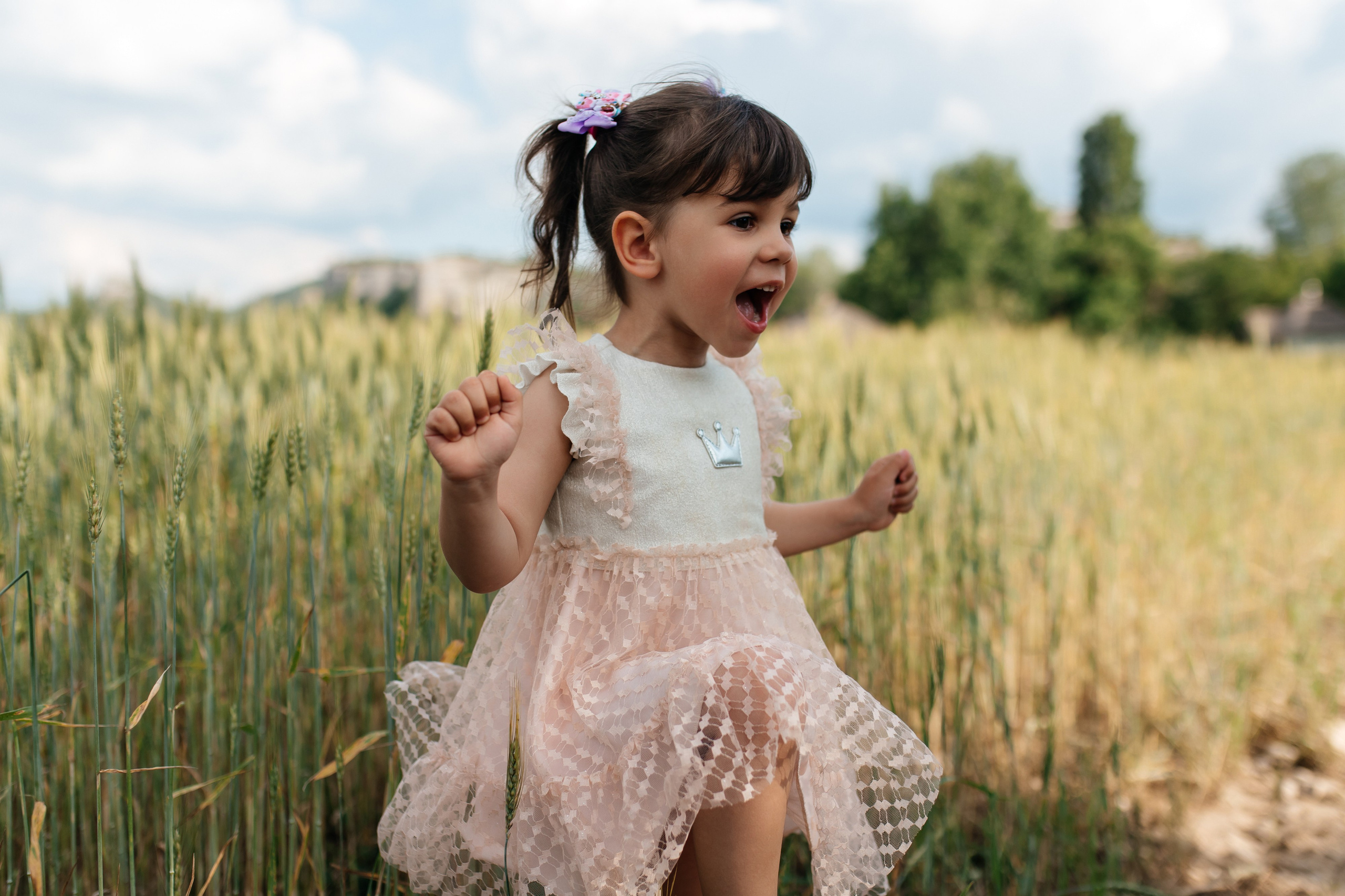 Daisies. ФОТОГРАФ