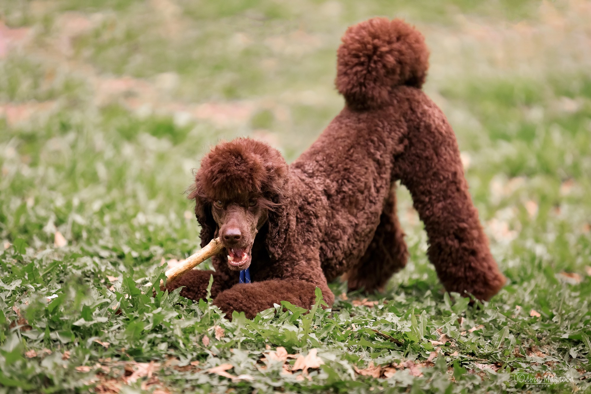У санатория. Фотограф в Саратове Ольга Мазлова