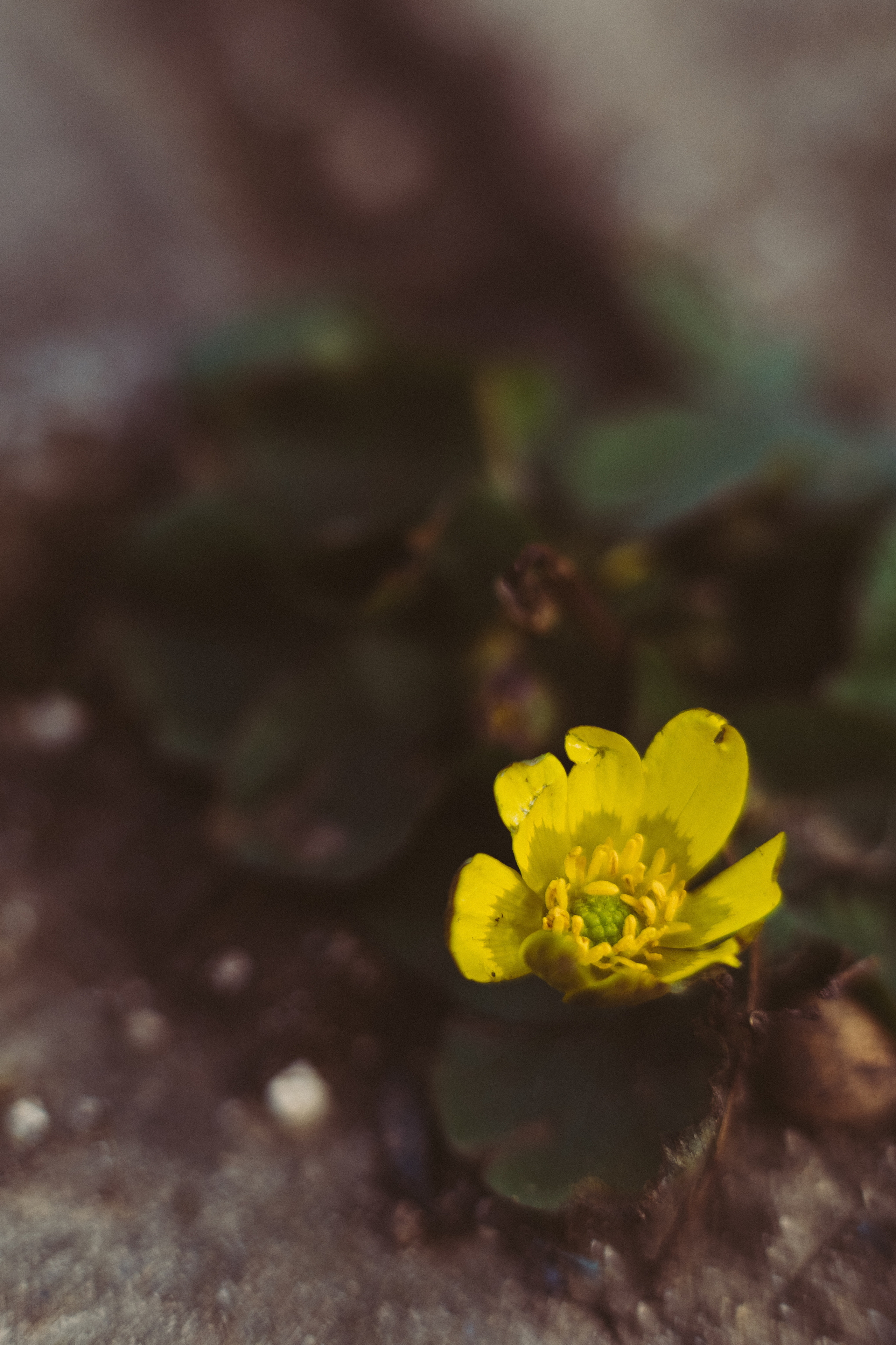 Фотообои на телефон 🖤. Семейный фотограф в городе Ейск — Михайлова Татьяна