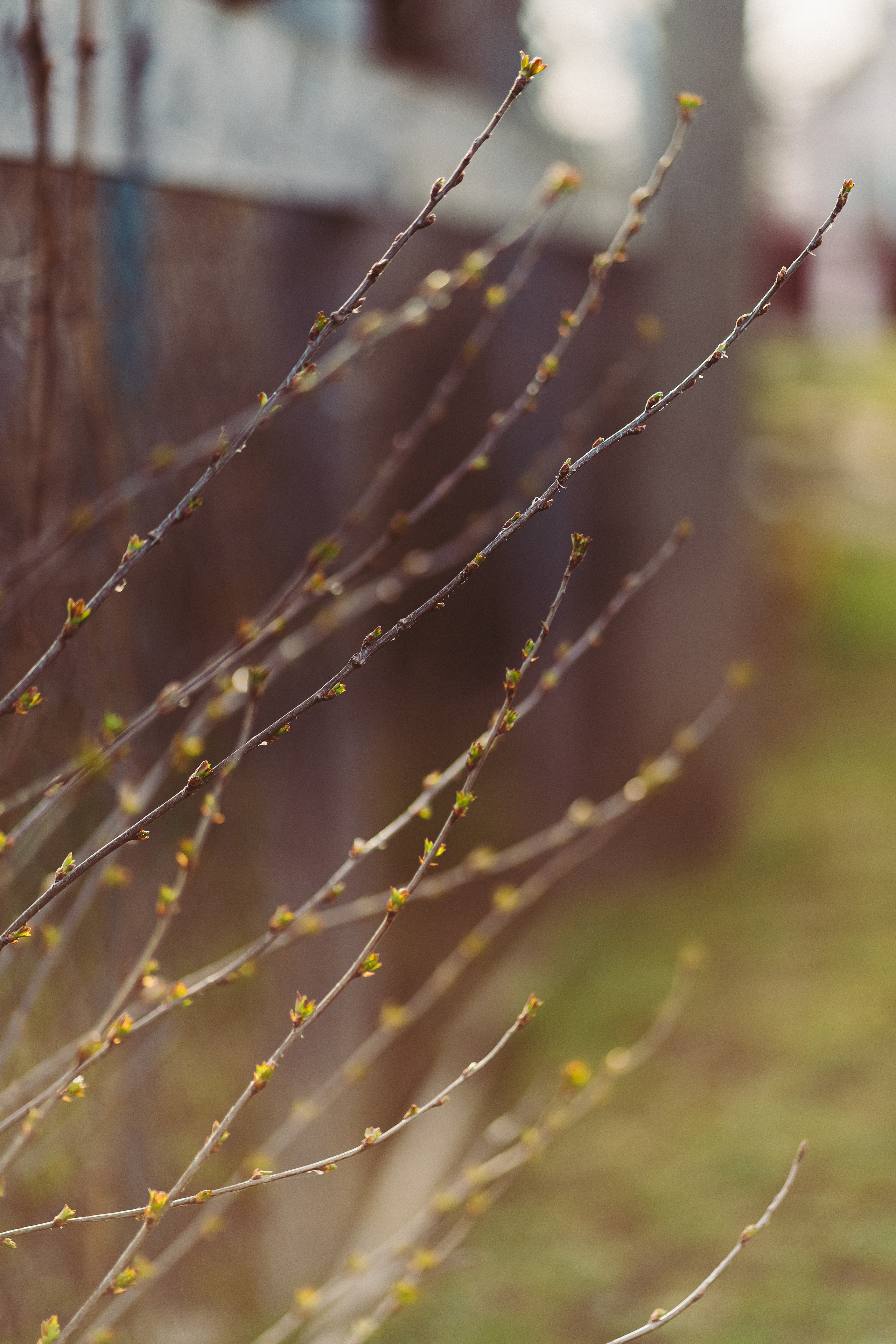 Фотообои на телефон 🖤. Семейный фотограф в городе Ейск — Михайлова Татьяна