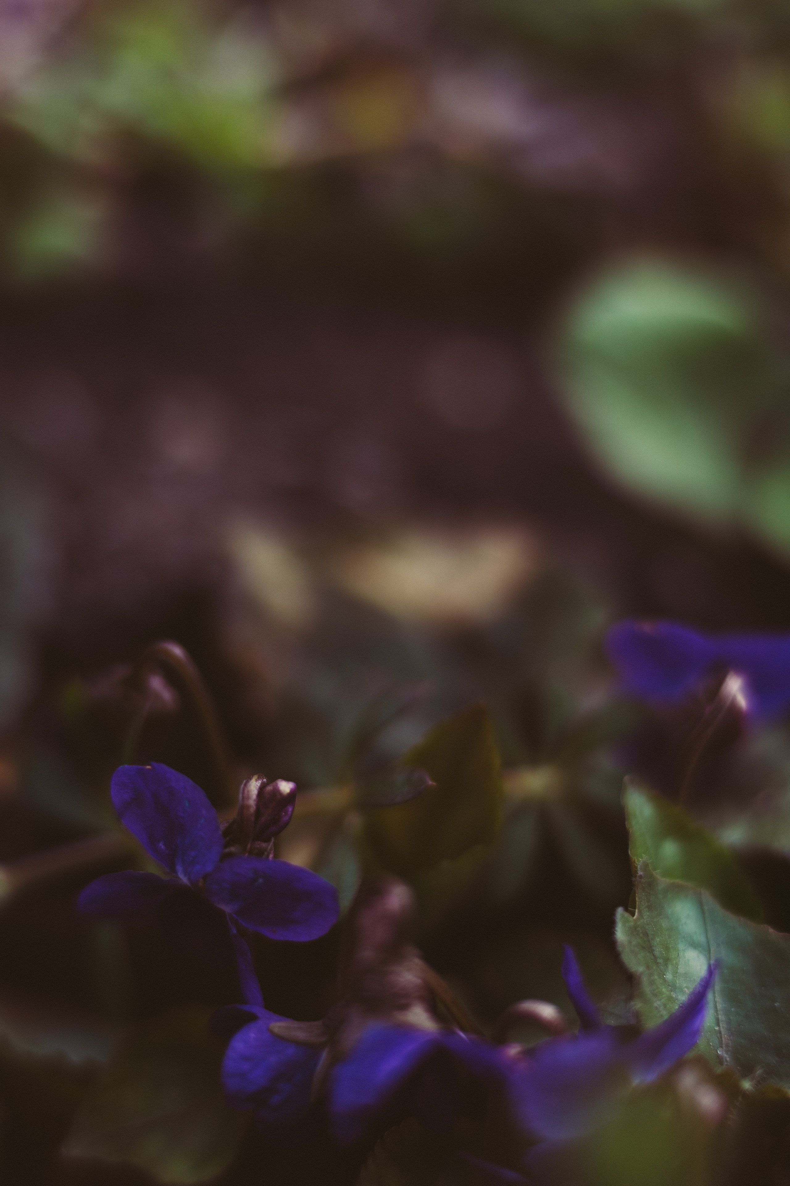 Фотообои на телефон 🖤. Семейный фотограф в городе Ейск — Михайлова Татьяна