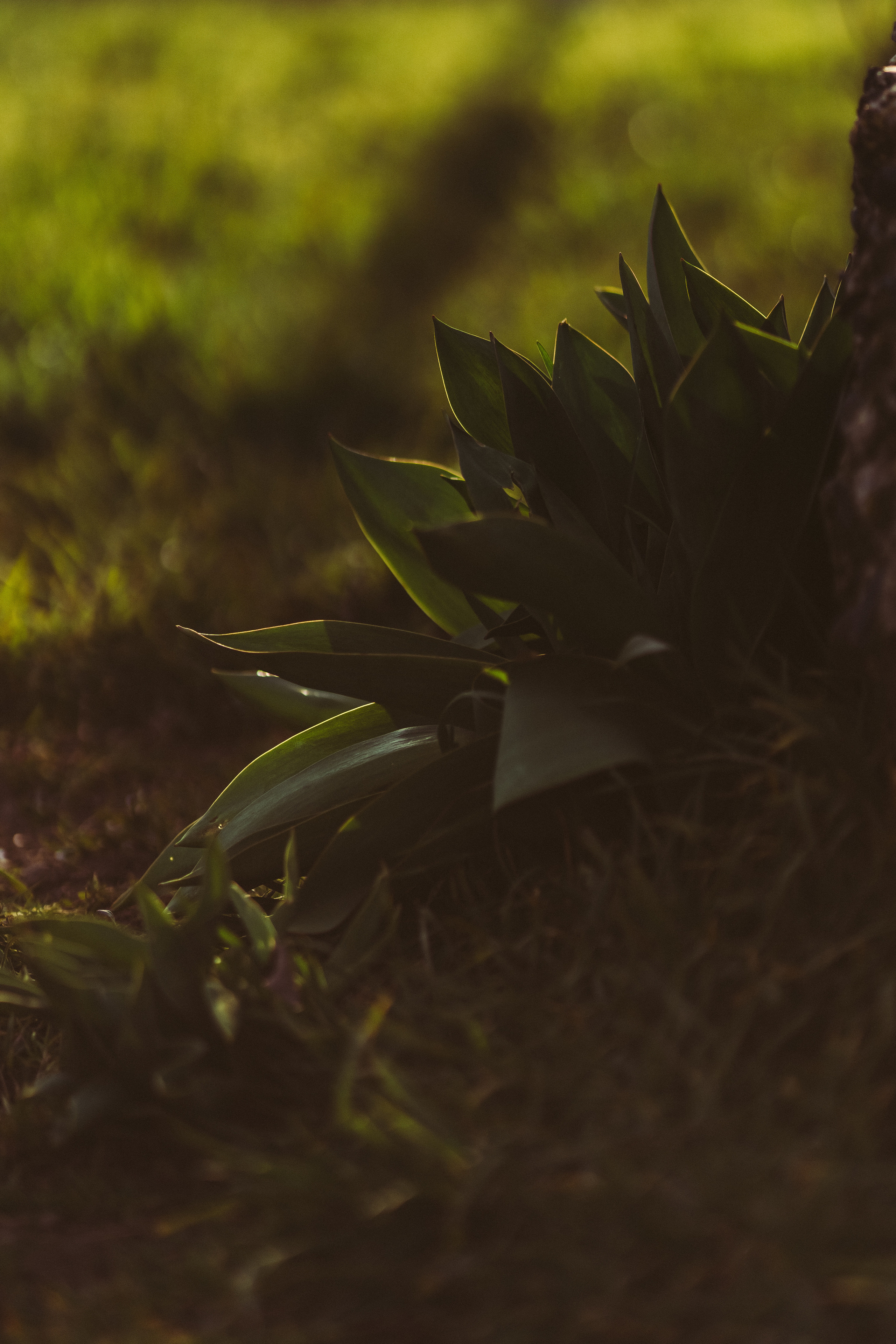 Фотообои на телефон 🖤. Семейный фотограф в городе Ейск — Михайлова Татьяна