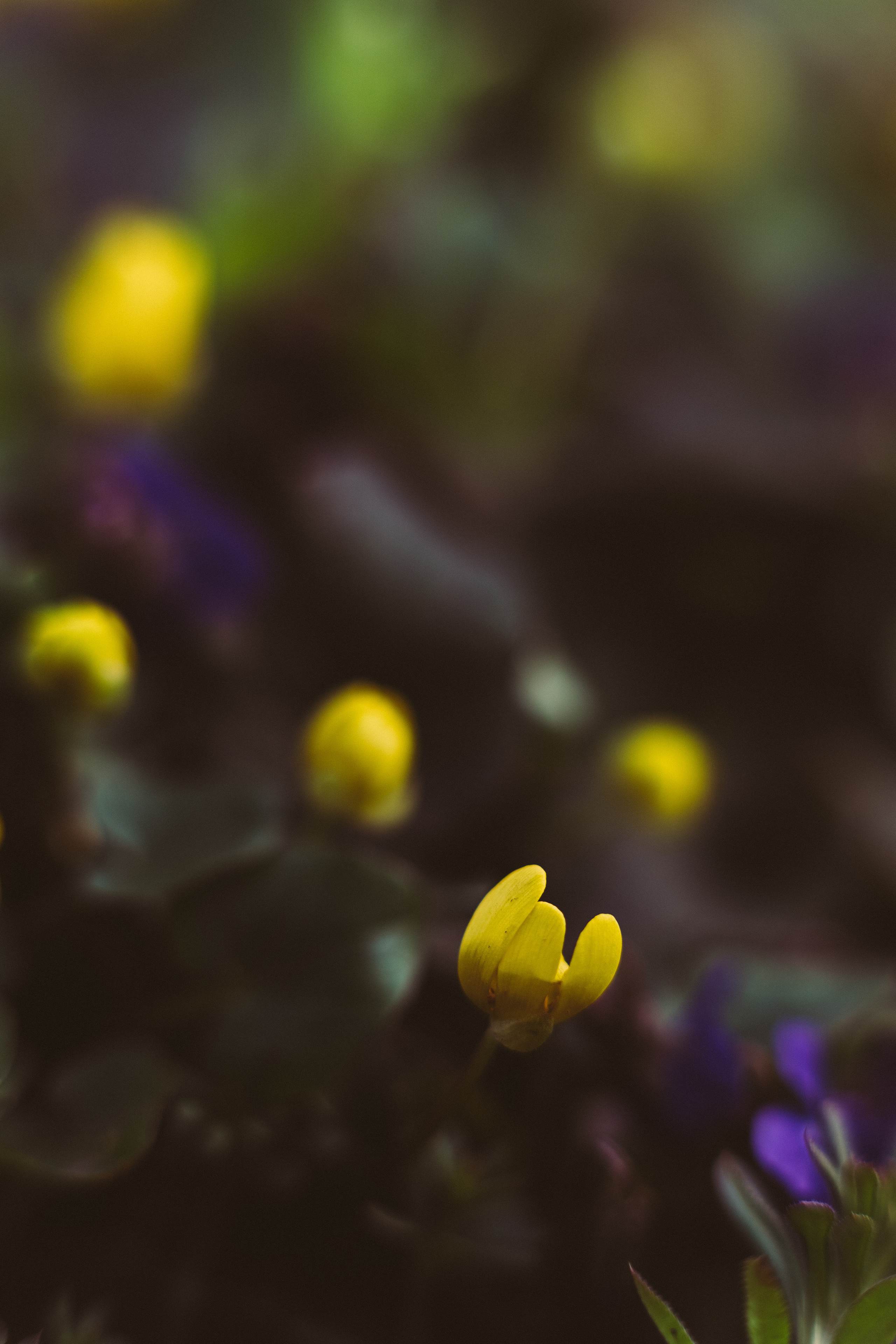 Фотообои на телефон 🖤. Семейный фотограф в городе Ейск — Михайлова Татьяна