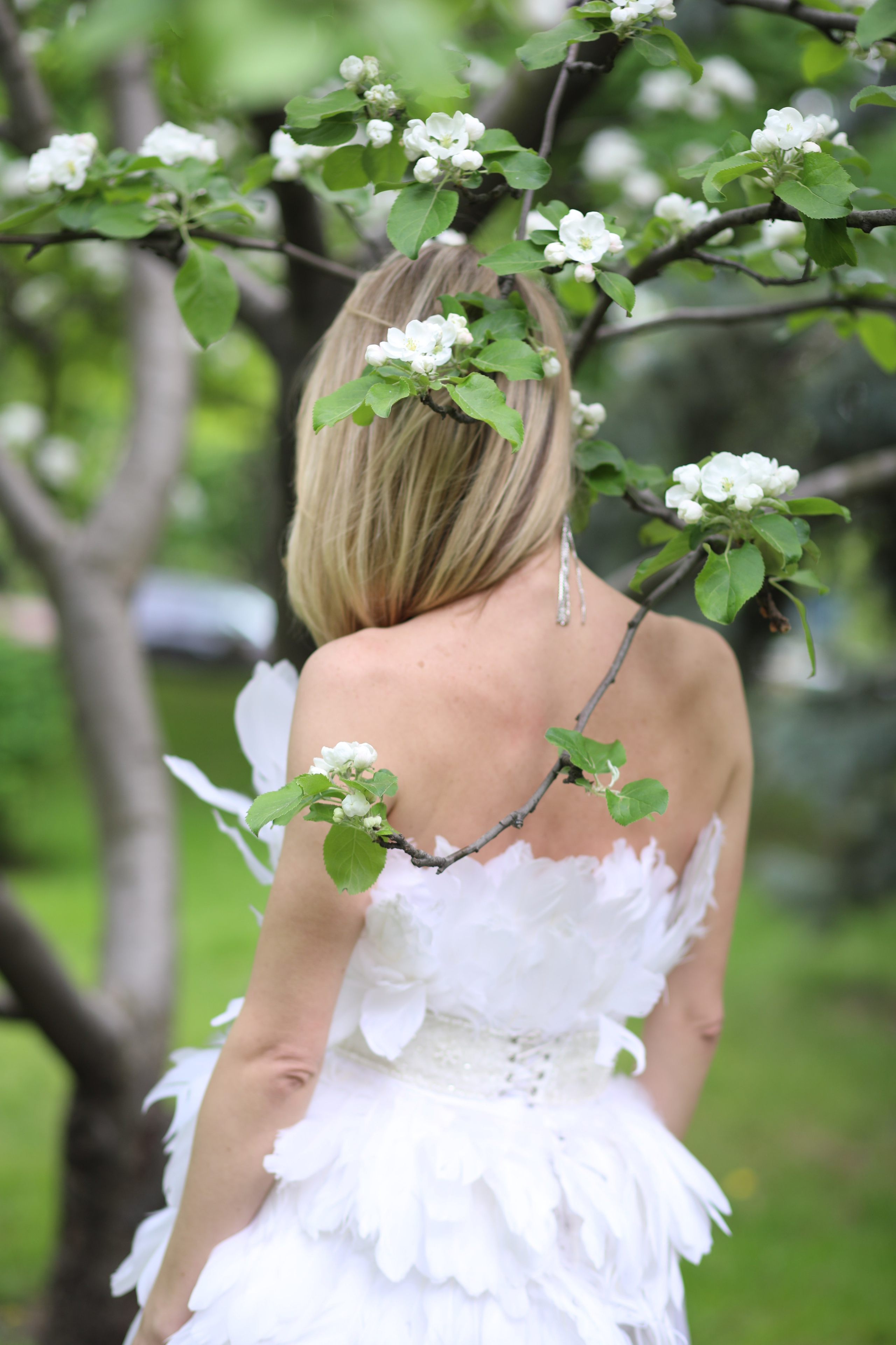 Цветение. Дударева Наталия фотограф Москва