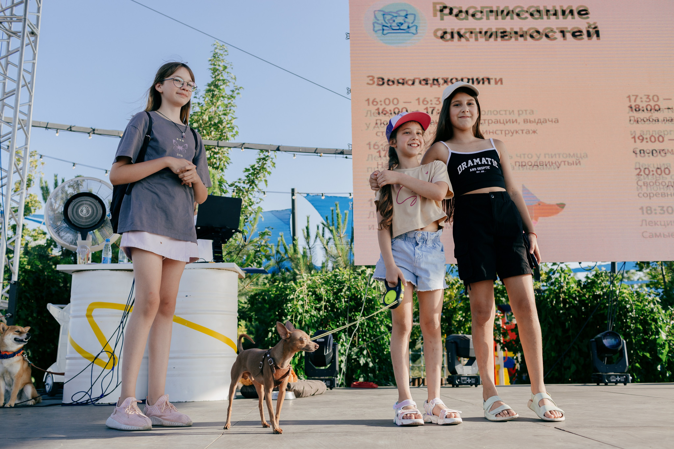 Dog Fest 2024. Главная