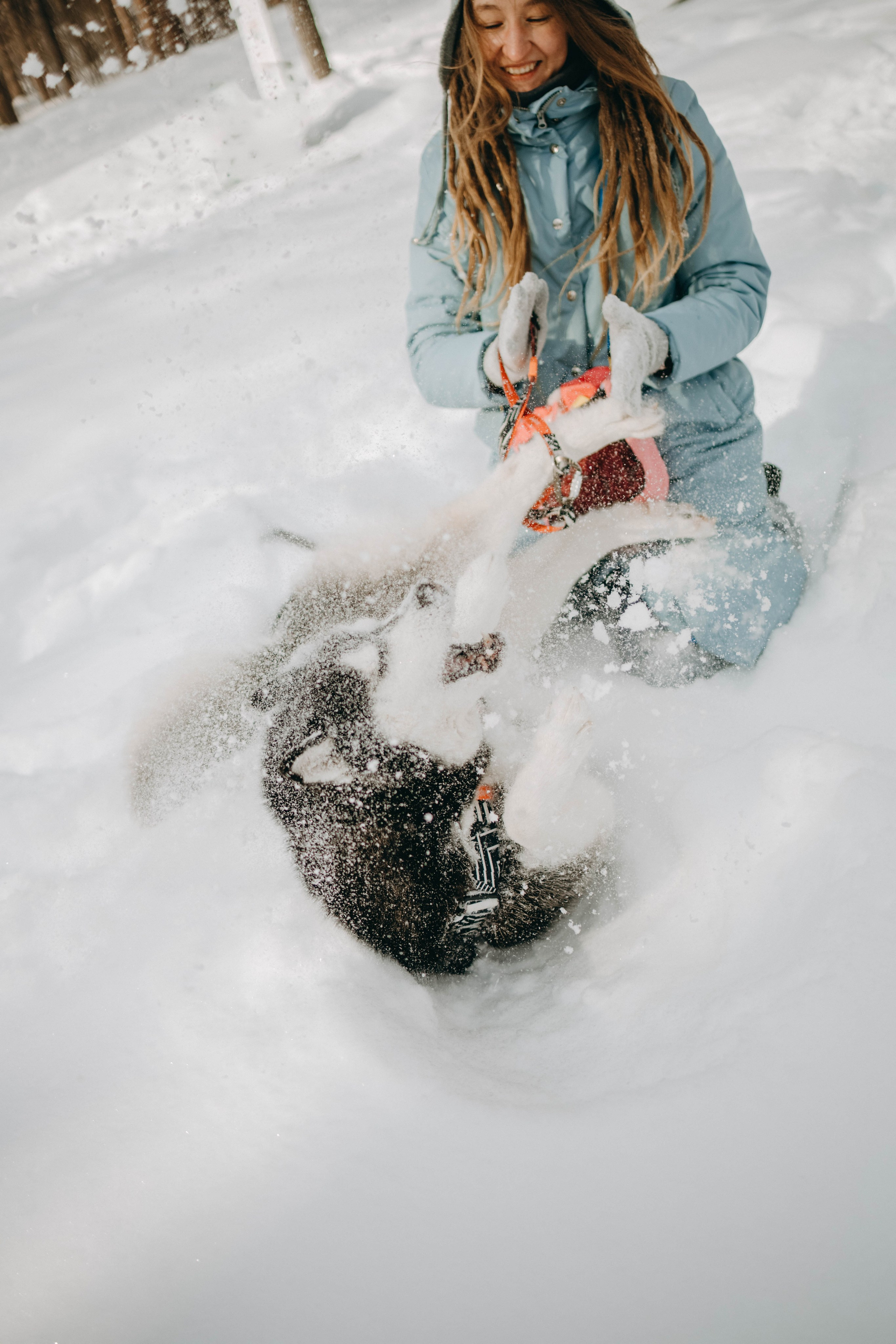 Анна и Вегас. Фотограф-анималист в Екатеринбурге | Кристина