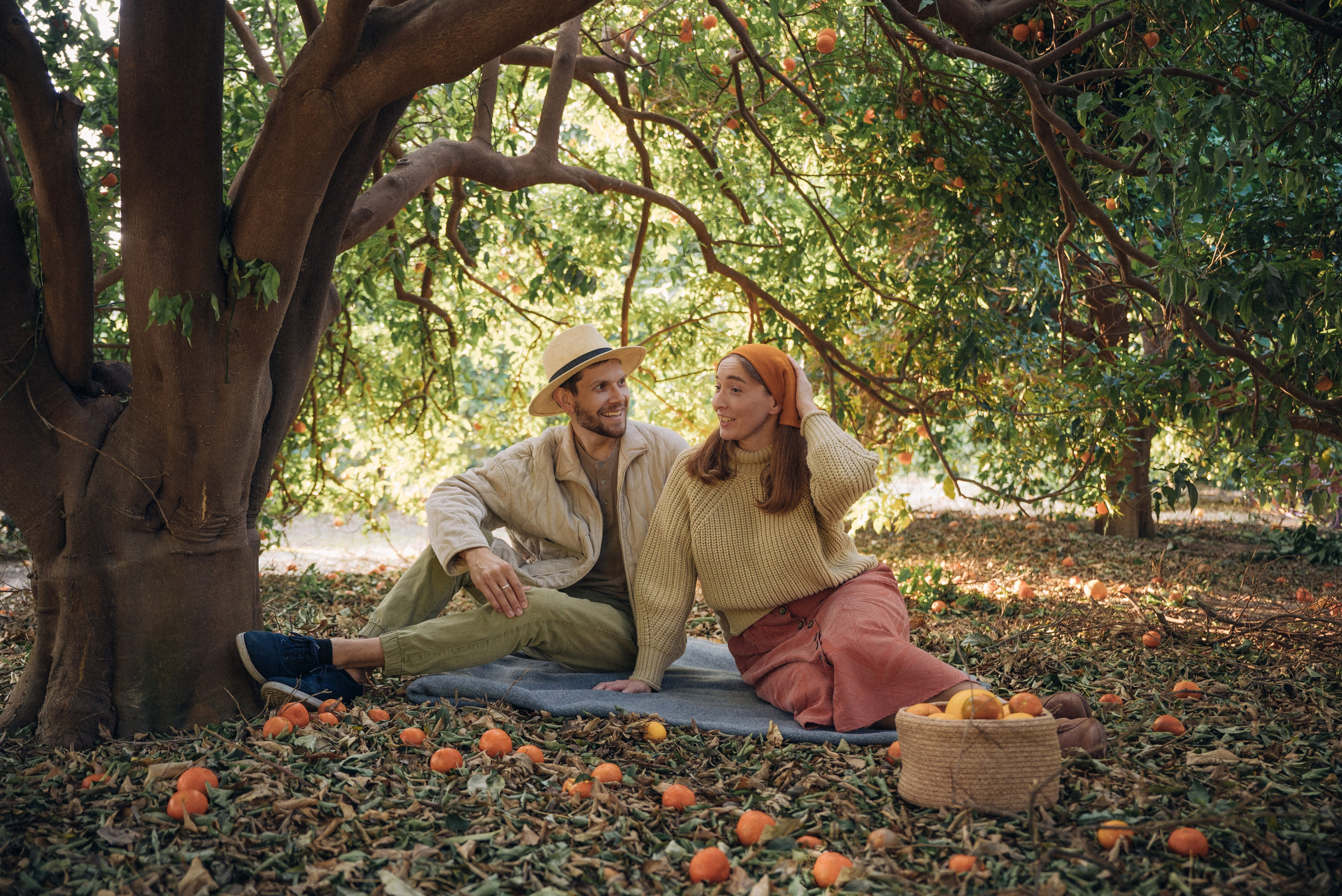 Сбор урожая. Анна Лобанова | фотограф