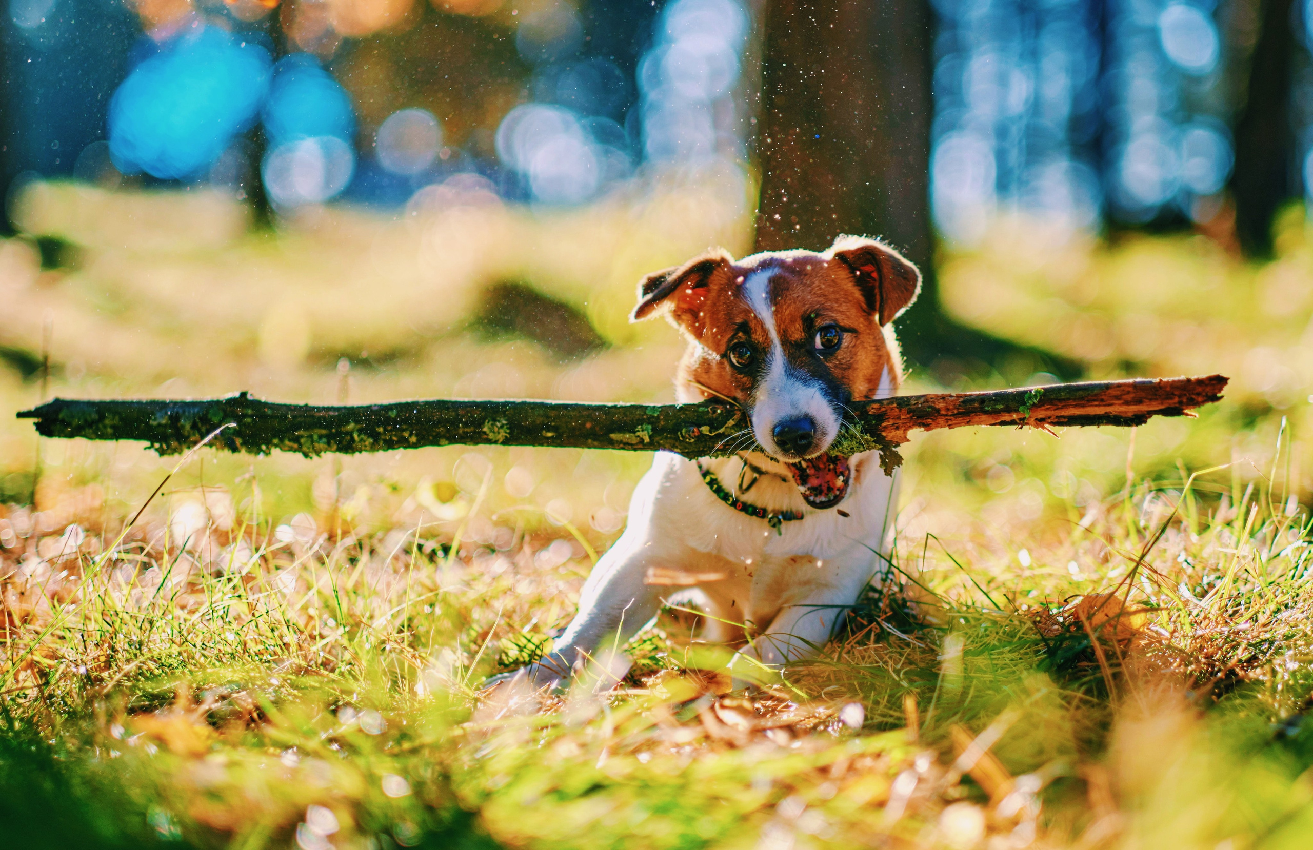 Nature. GubanovPhoto