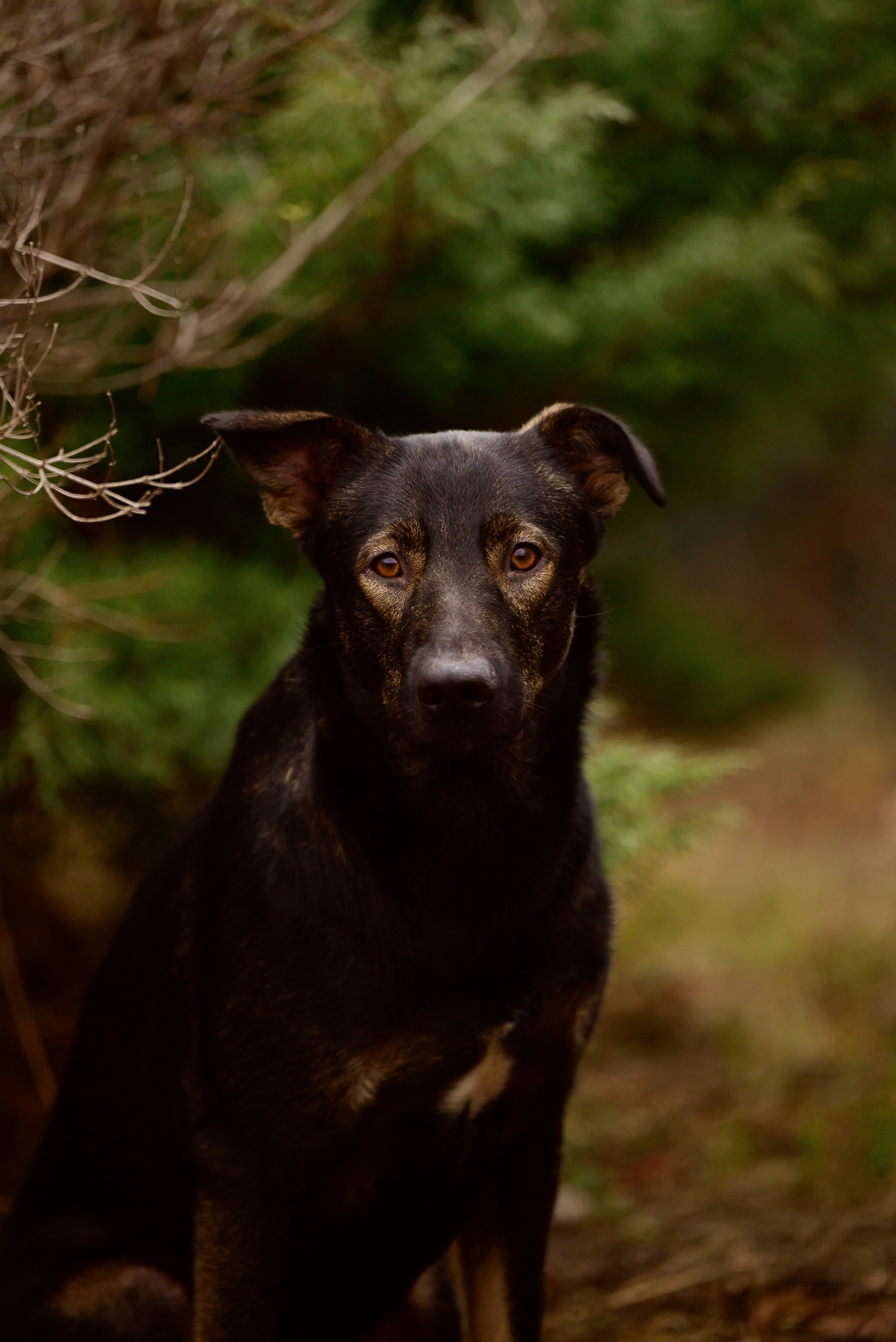 Круассанчики. Мила Астахова