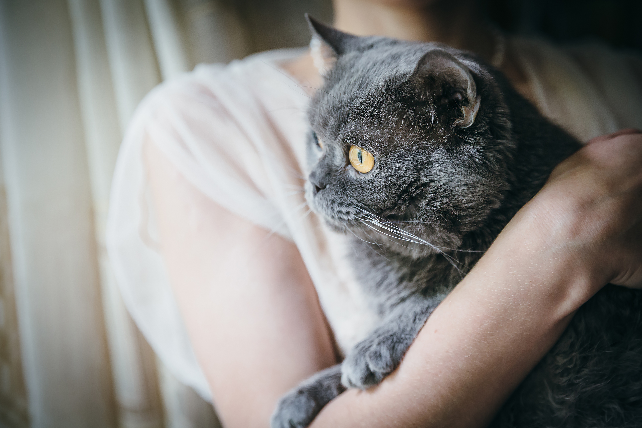 Анна и Иван. Coach & photographer Anna Sushkova | Valencia, Spain