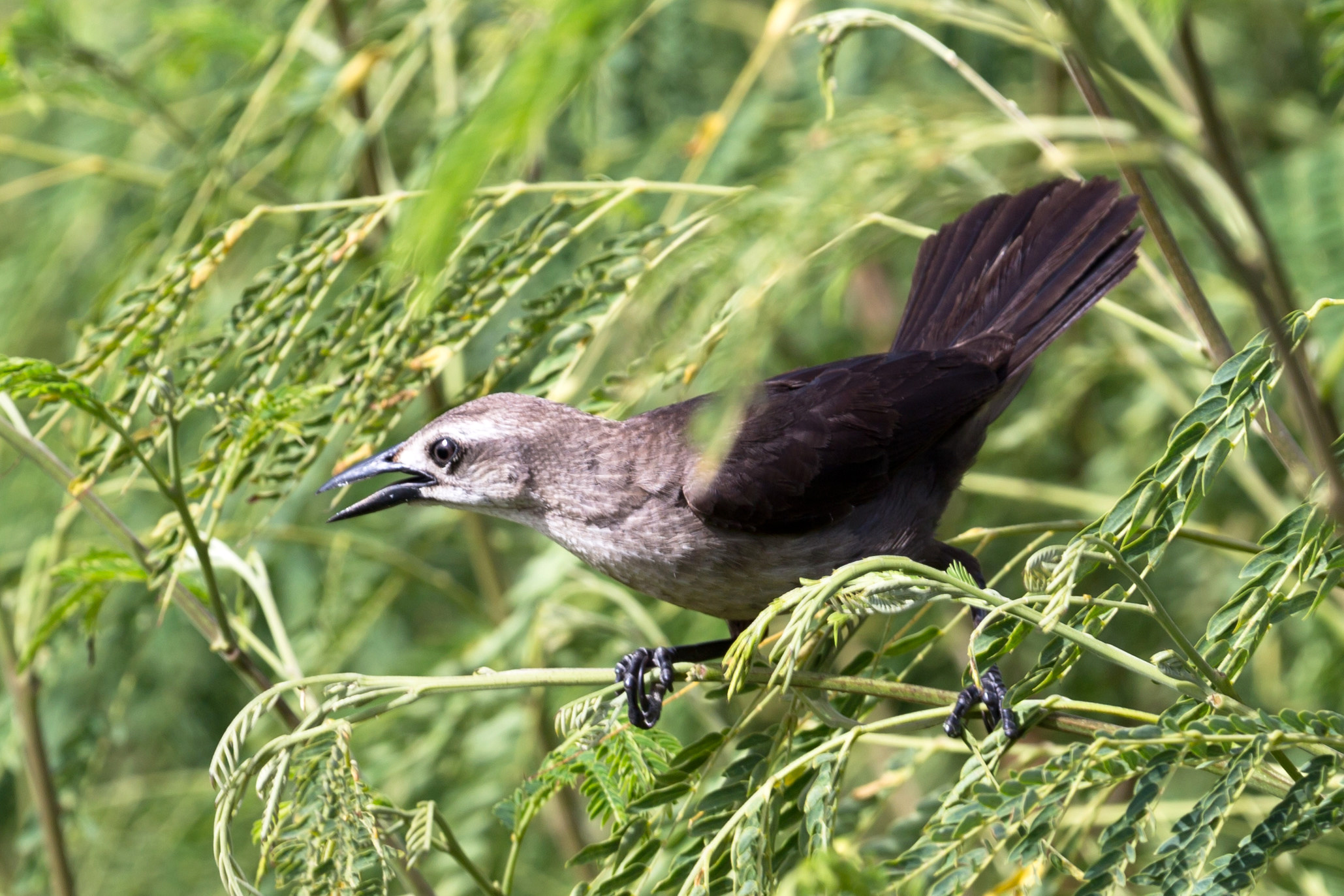 Остров святого Мартина. Coach & photographer Anna Sushkova | Valencia, Spain